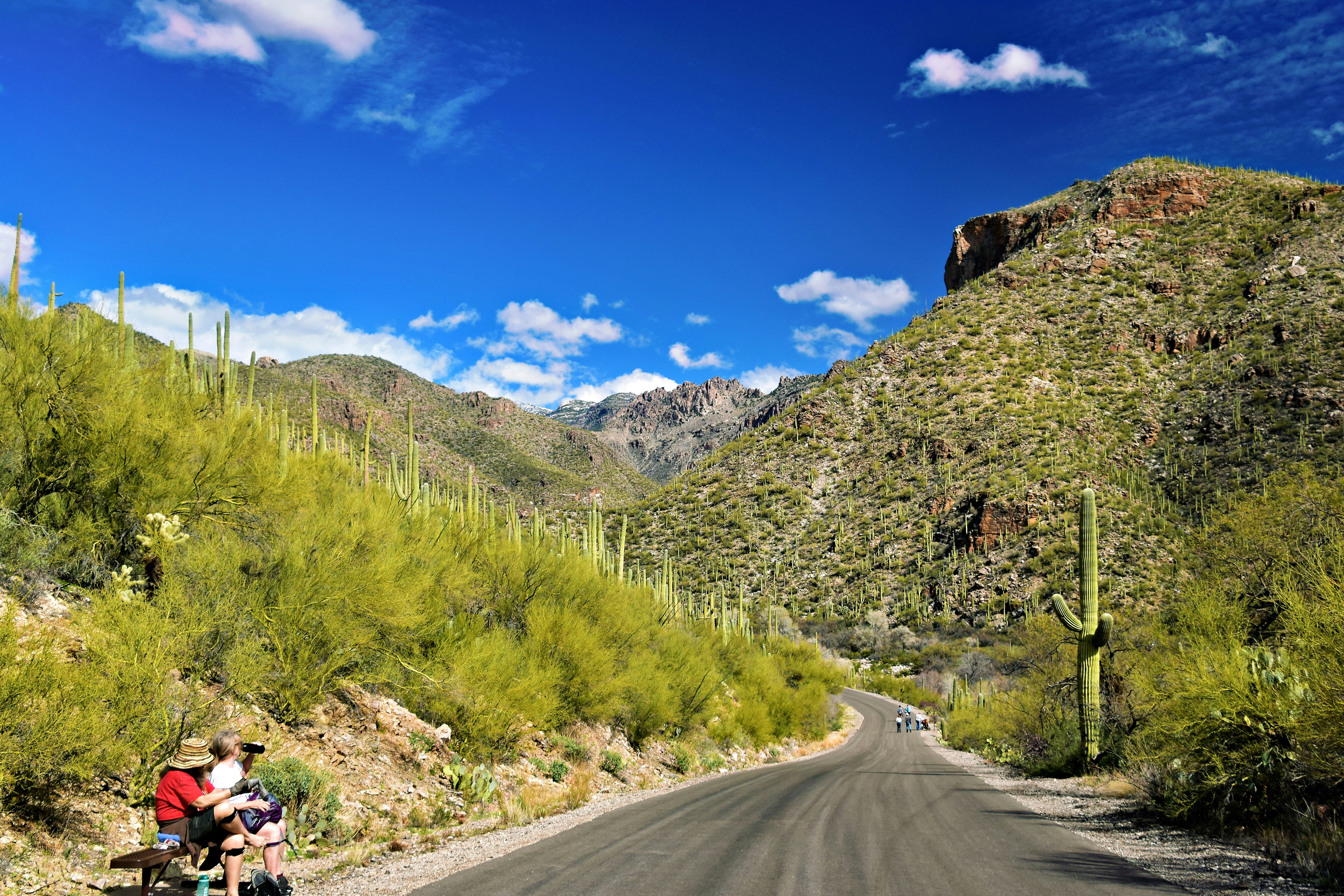 cycling up gates pass in tucson ariziona