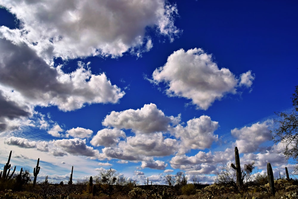 a blue sky filled with clouds over a desert