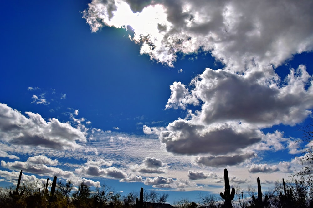 Le soleil brille à travers les nuages au-dessus d’un cactus