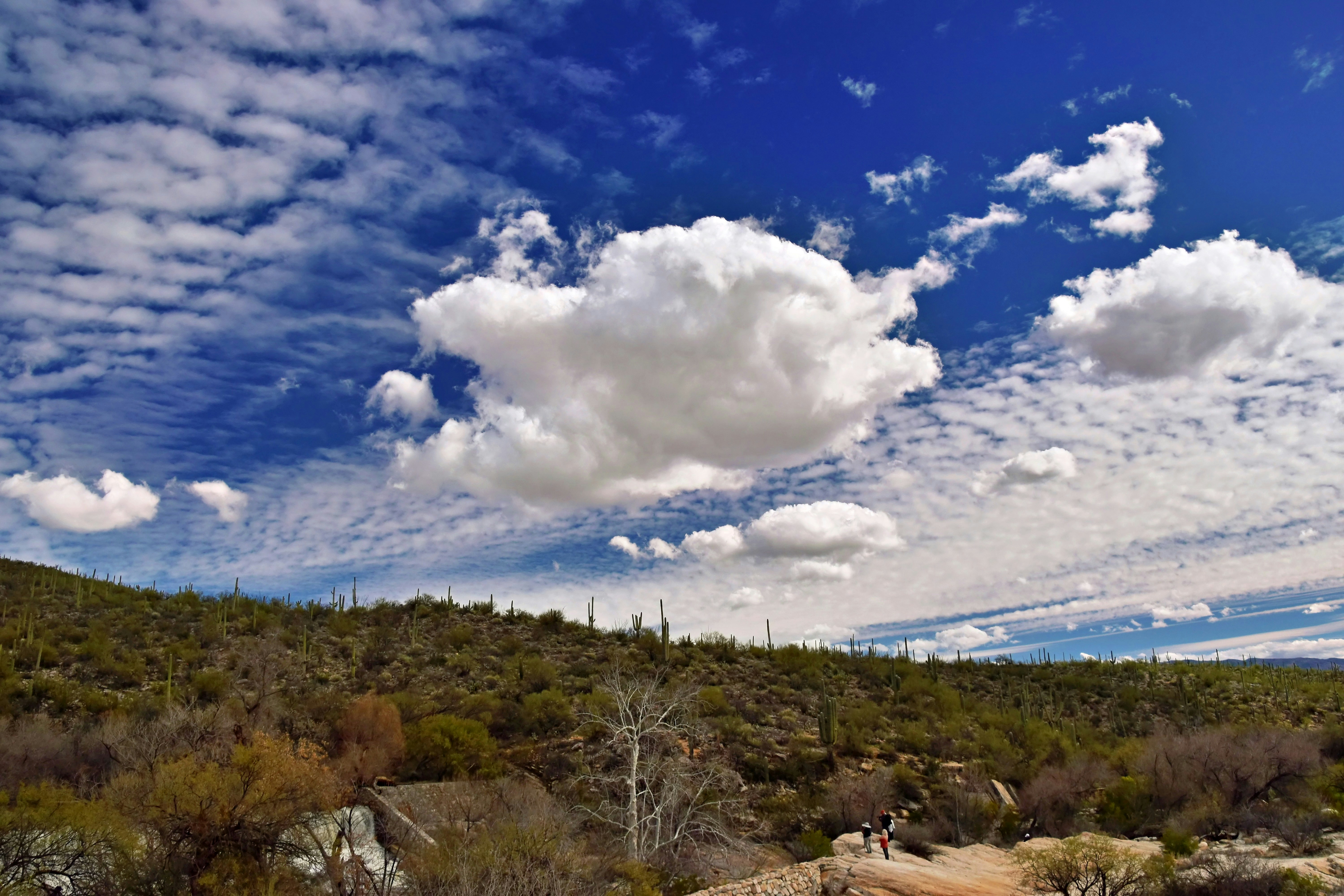 Image by Jeffrey Eisen via Unsplash