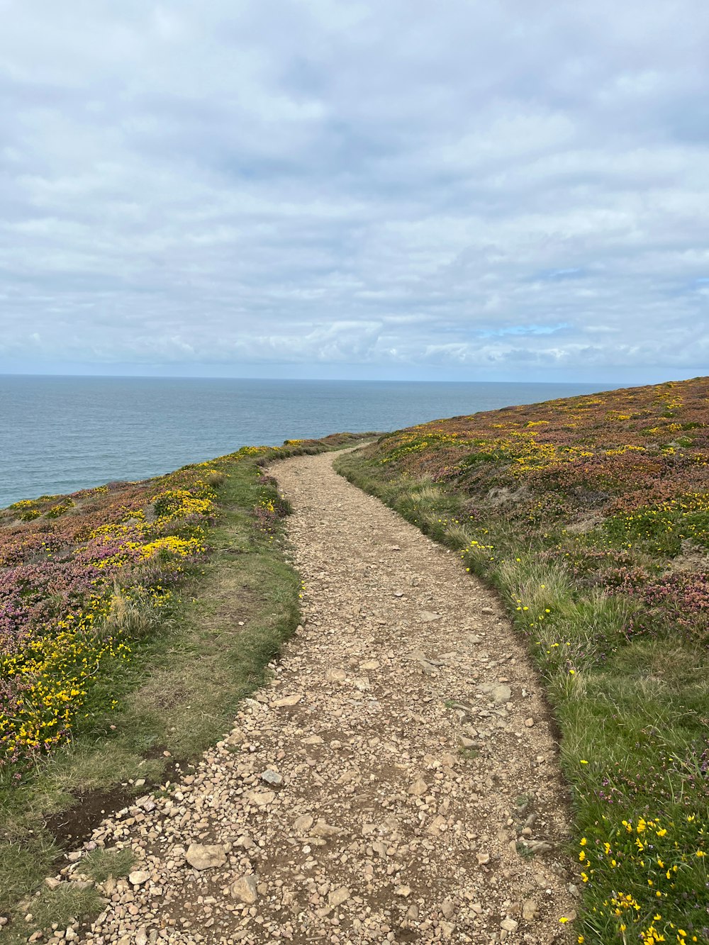 a path leading to the ocean on a cloudy day