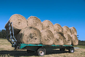 a trailer with a bunch of hay on the back of it