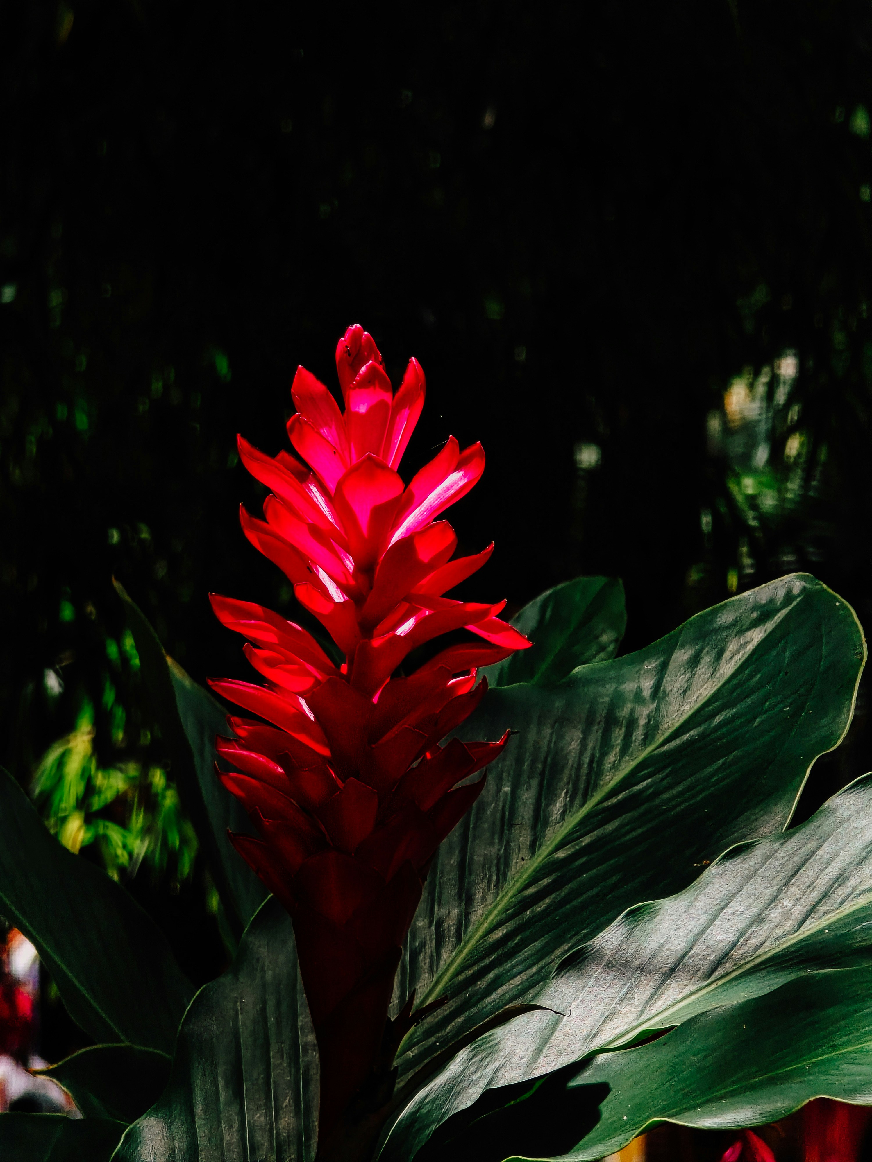 Photo by claitonconto