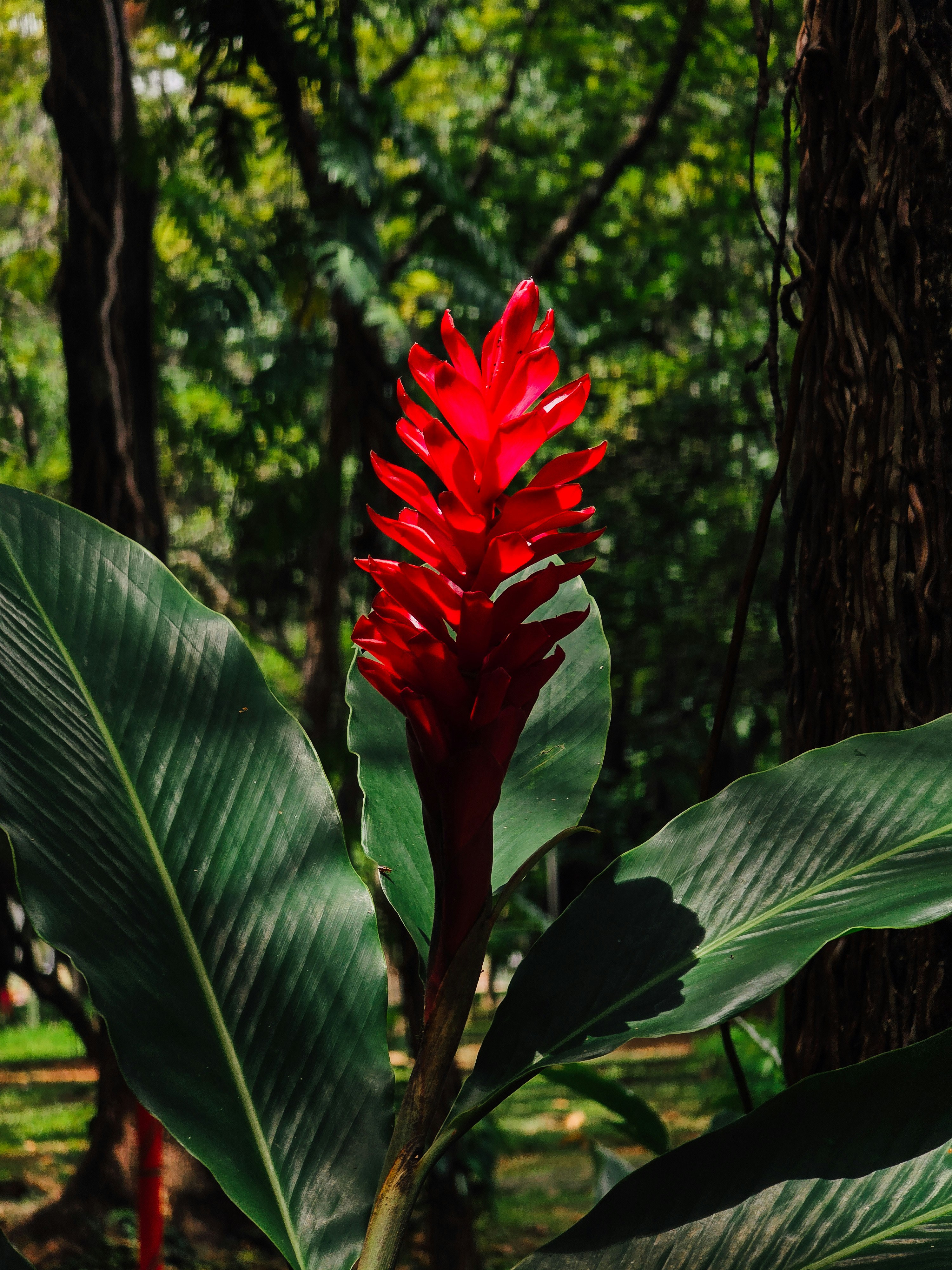 Photo by claitonconto