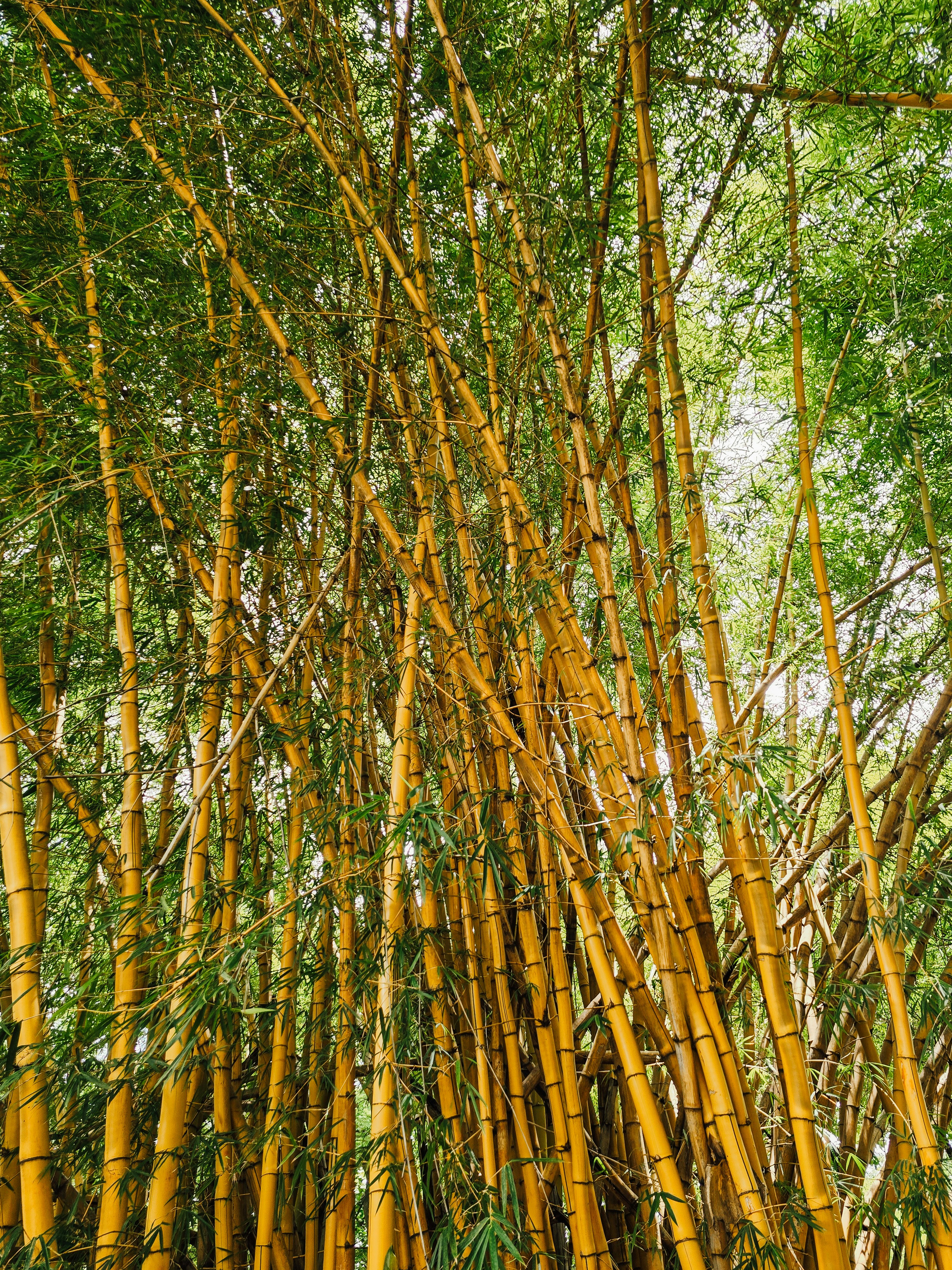 Photo by claitonconto