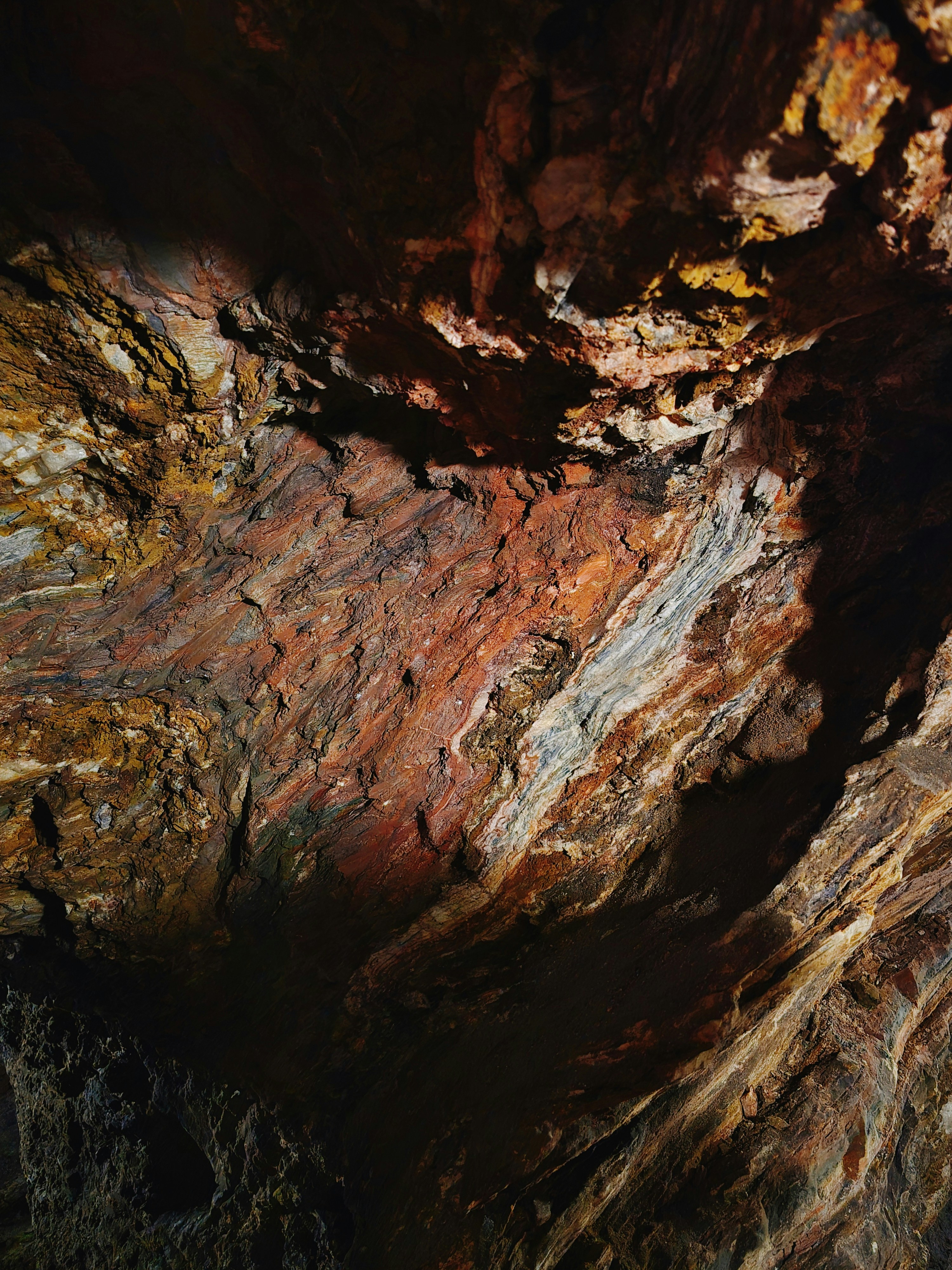 Photo by claitonconto