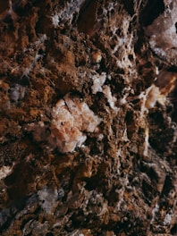 a close up of a rock with dirt on it