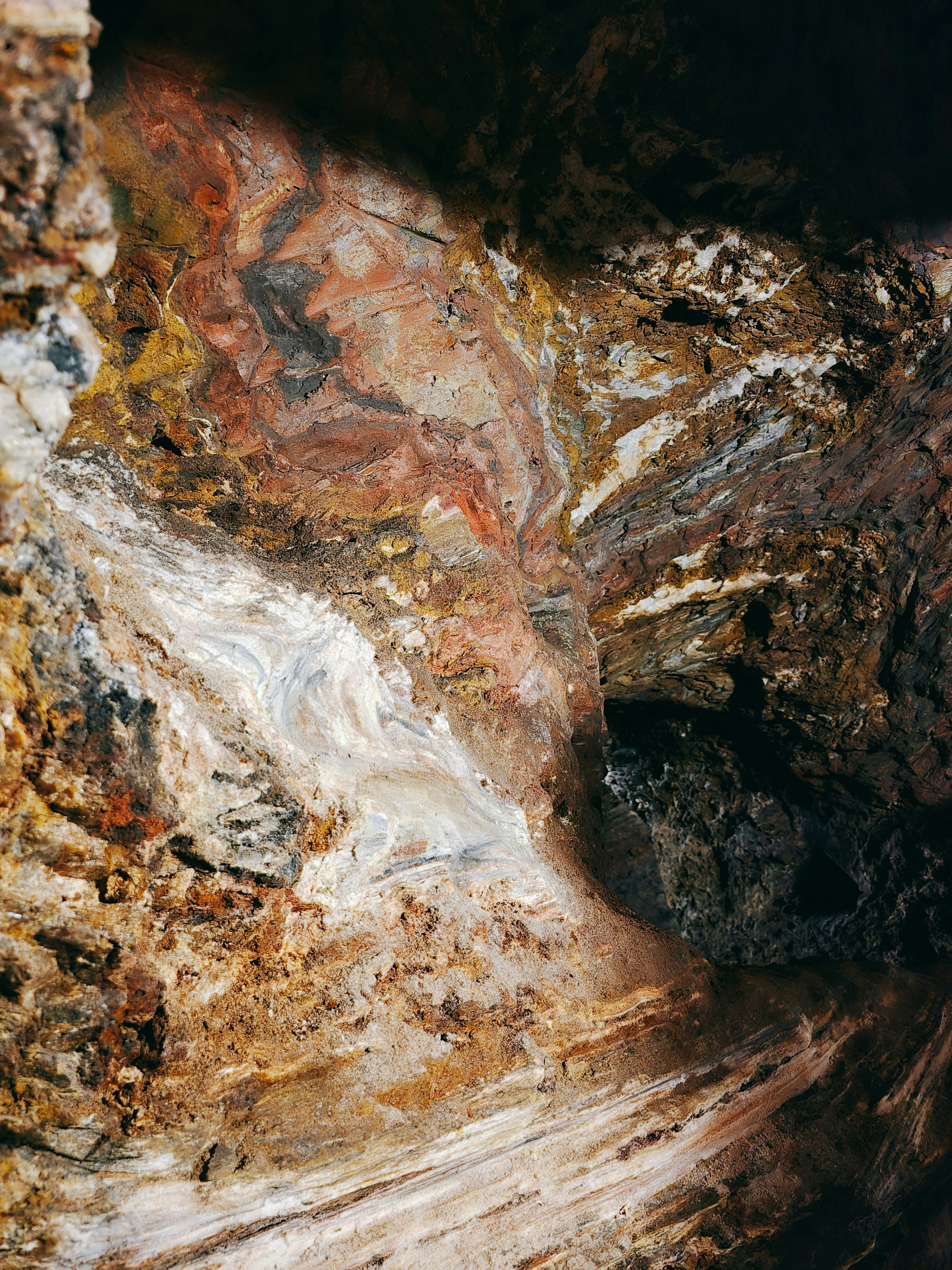 Photo by claitonconto