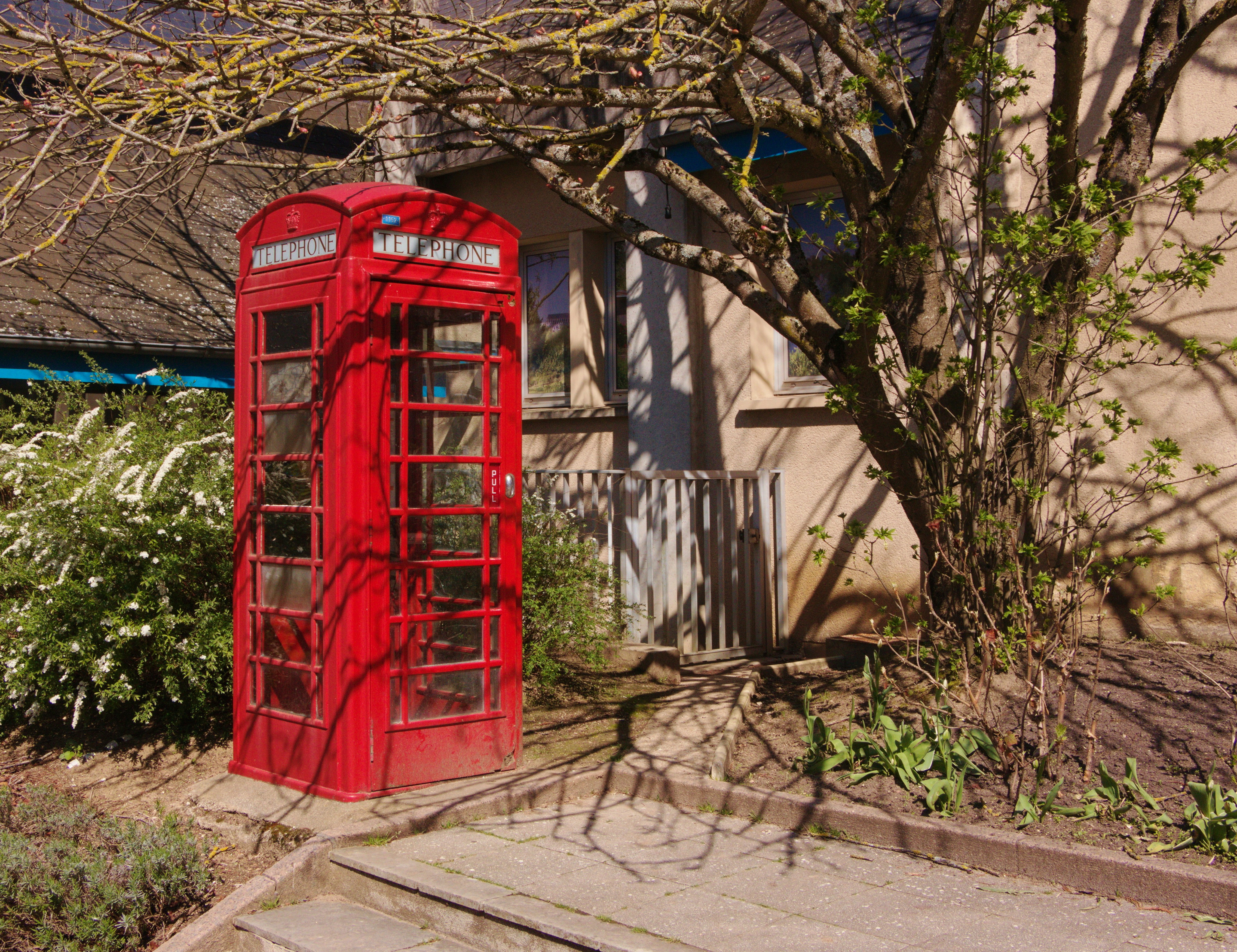 a red phone booth sitting next to a tree