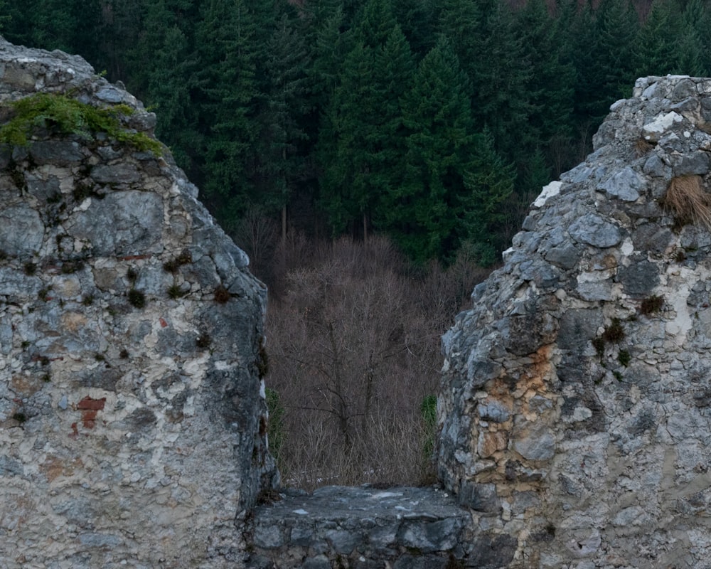 a stone wall with a forest in the background