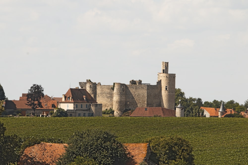 a large castle sitting on top of a lush green field