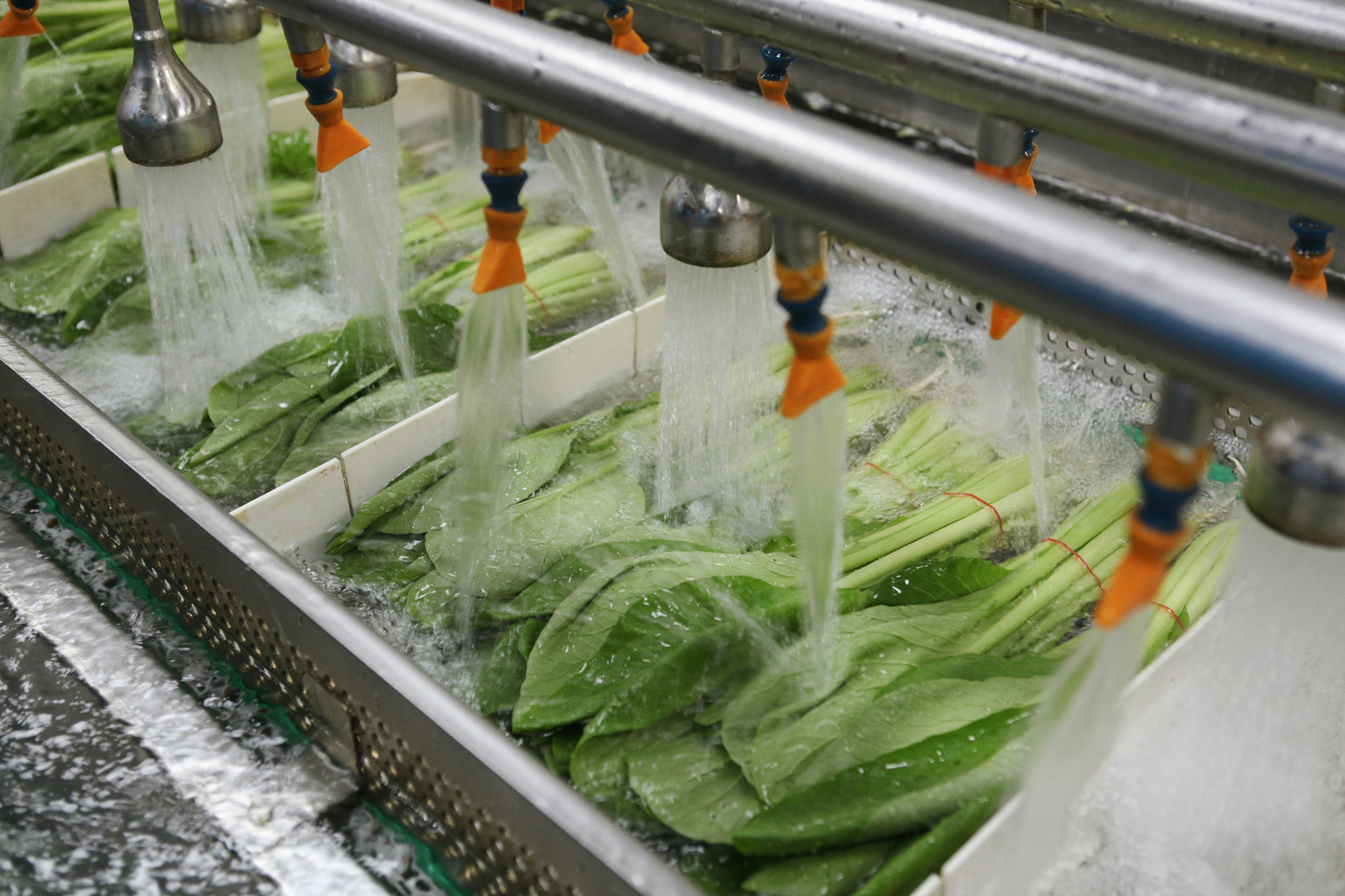 a bunch of vegetables being washed in a machine