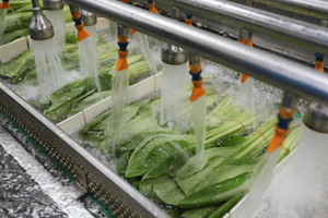 a bunch of vegetables being washed in a machine