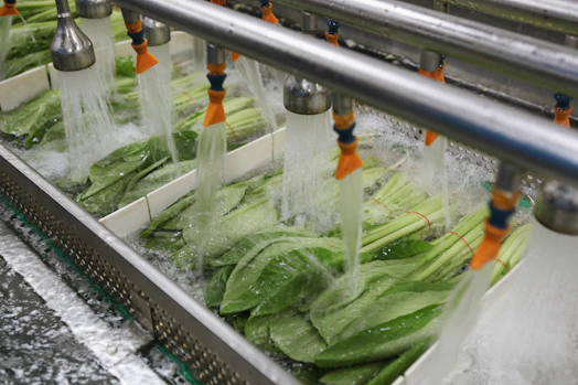 a bunch of vegetables being washed in a machine