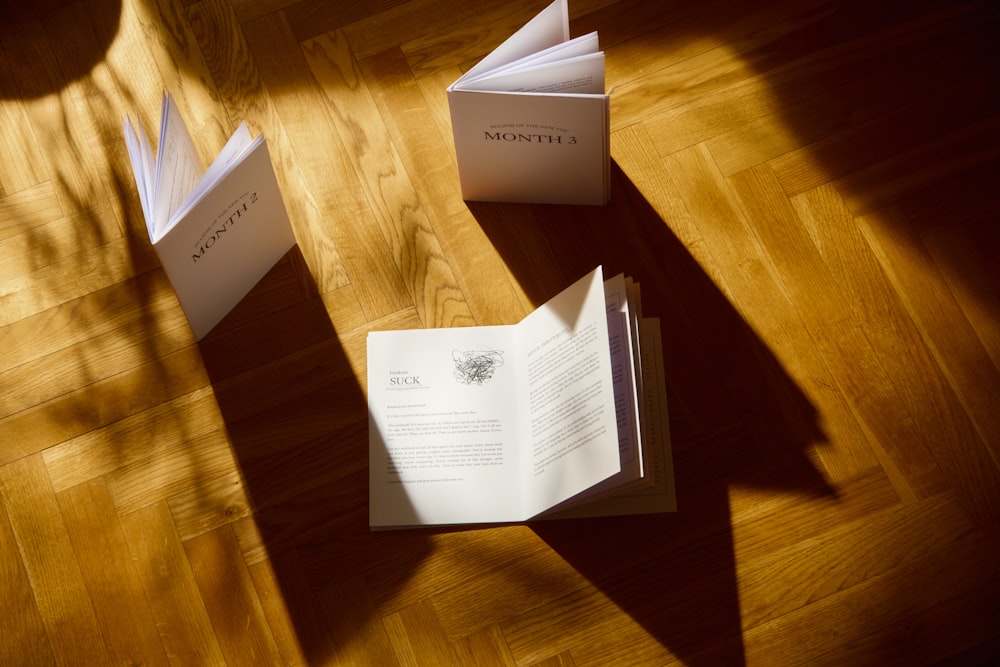 two open books sitting on top of a wooden floor