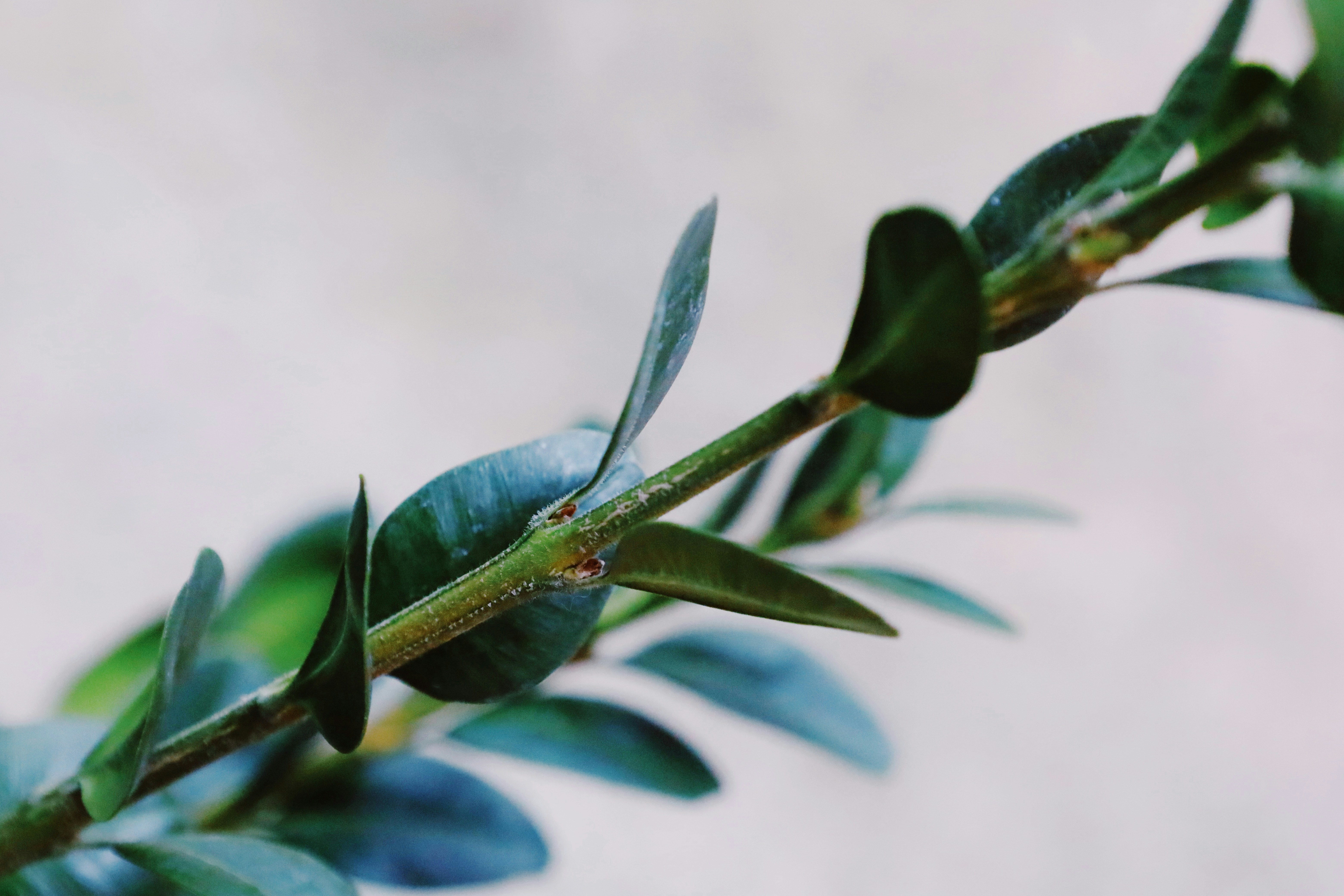 Photo by ananoelleeeee