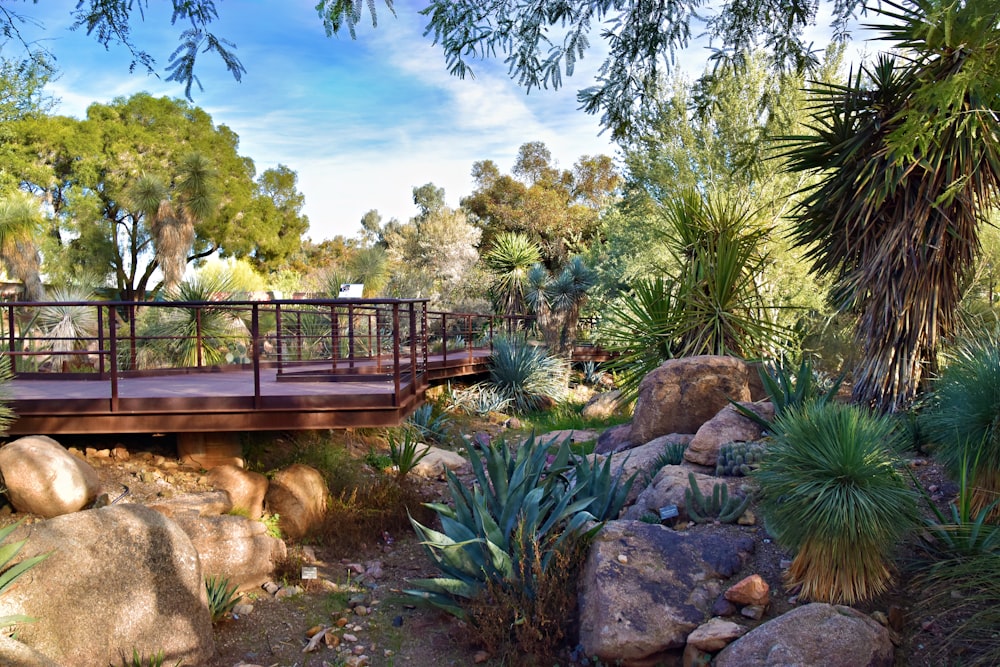 a wooden bridge over a small stream surrounded by rocks