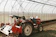 a red tractor is parked in a greenhouse