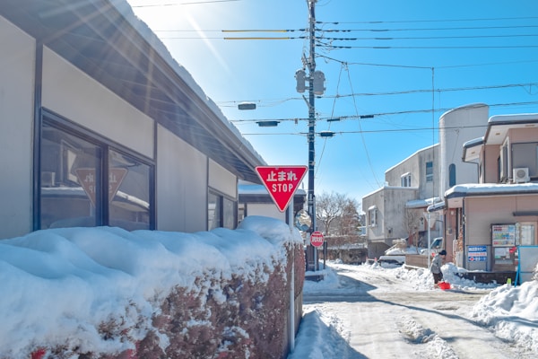Yamanashi Local Cuisine: Dishes, Restaurants, Recipes