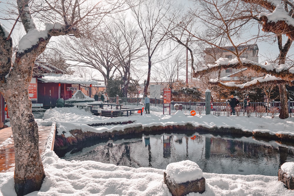 a pond surrounded by snow covered trees and buildings