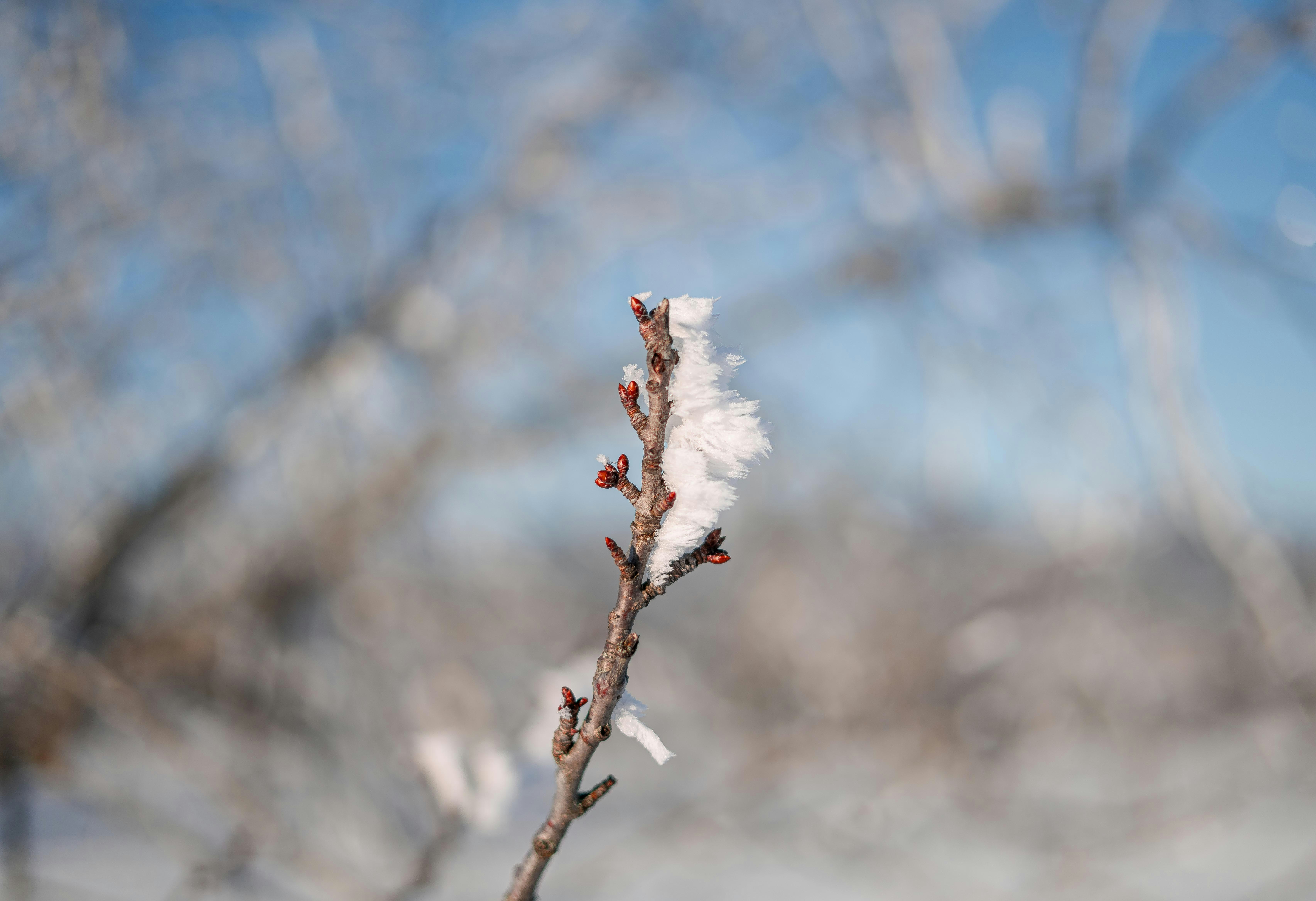 Photo by annastampfli