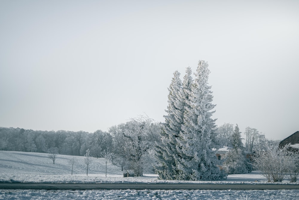 a snow covered field with a house in the background