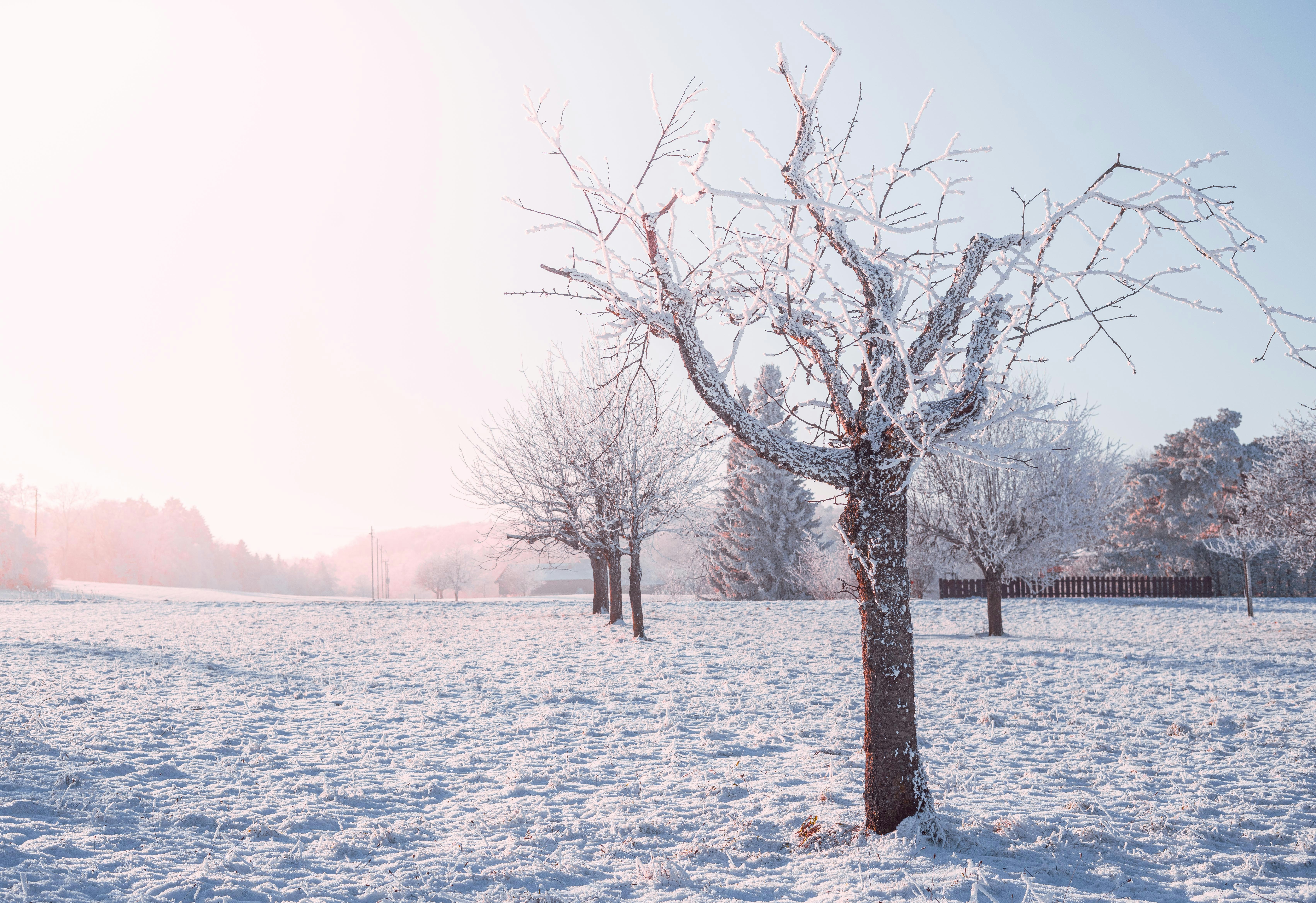 Photo by annastampfli