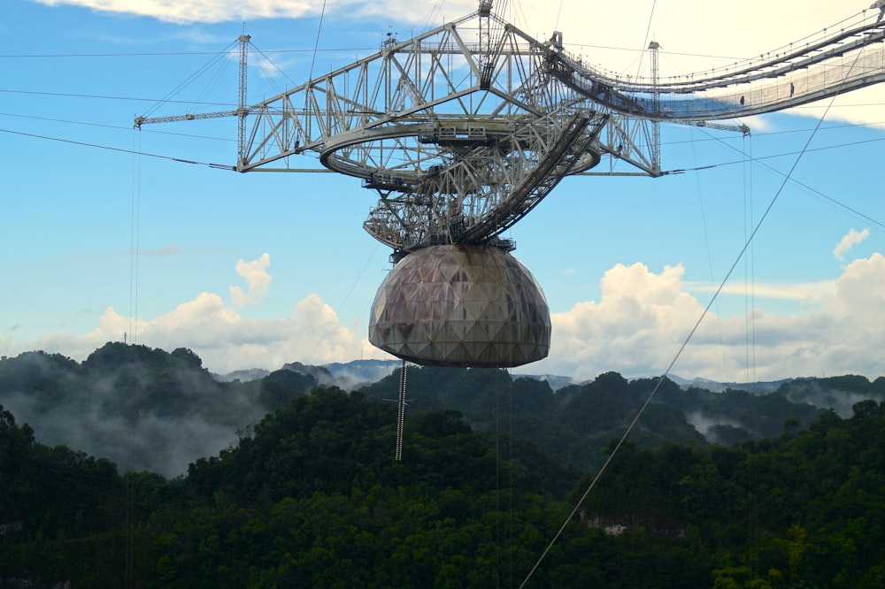 a cell phone tower in the middle of a forest