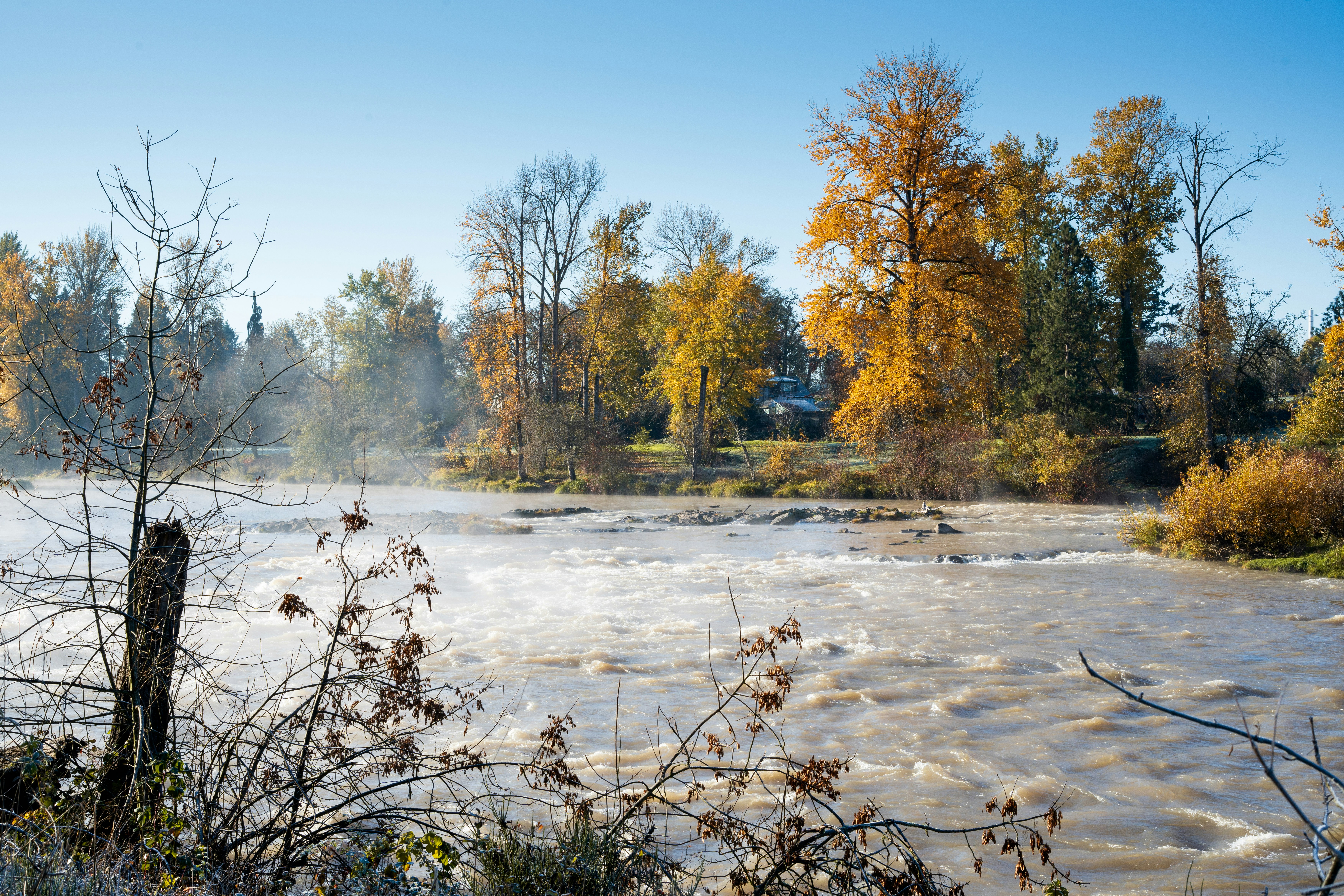 a body of water with trees in the background