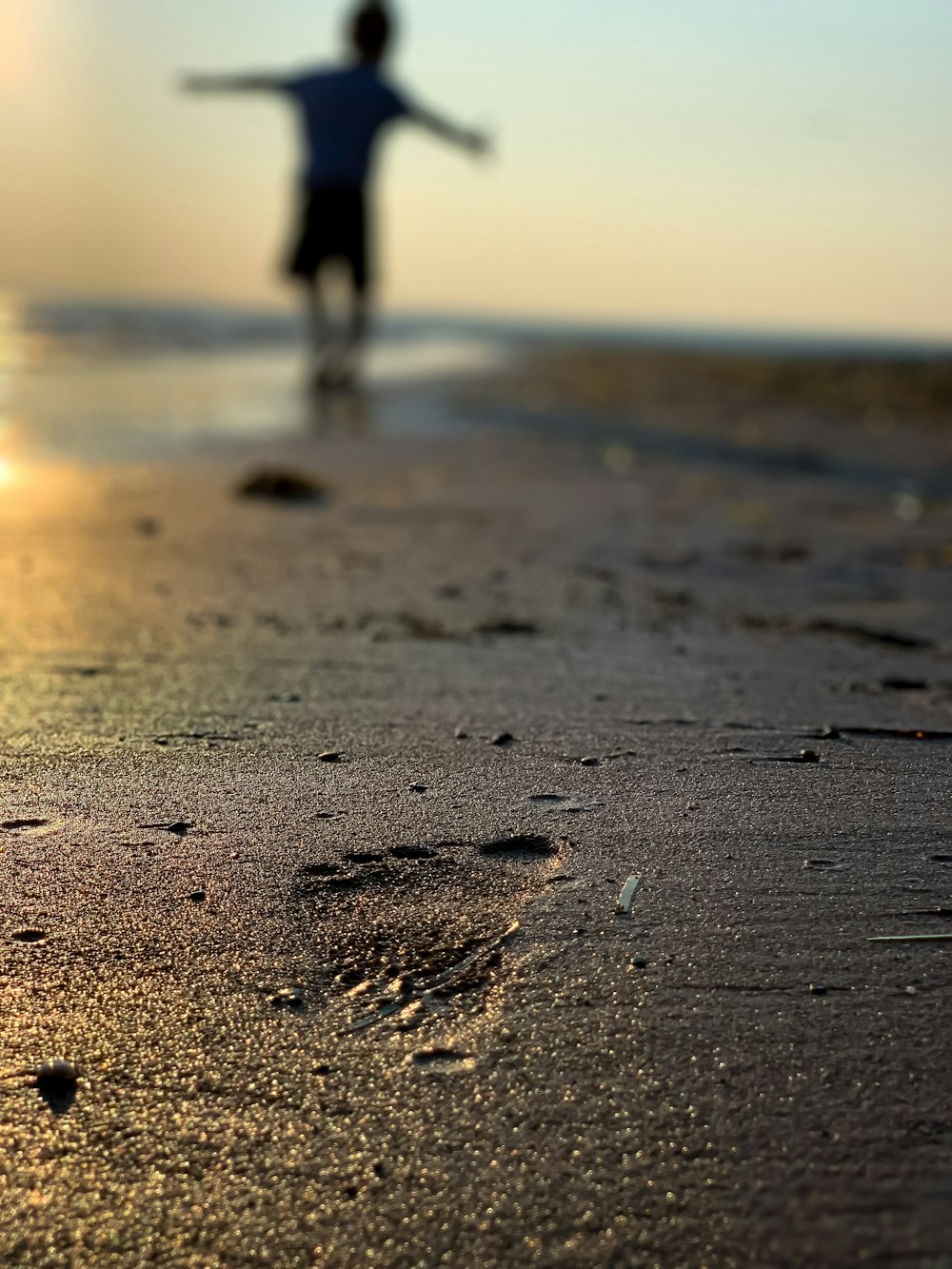 a person standing on a beach near the ocean