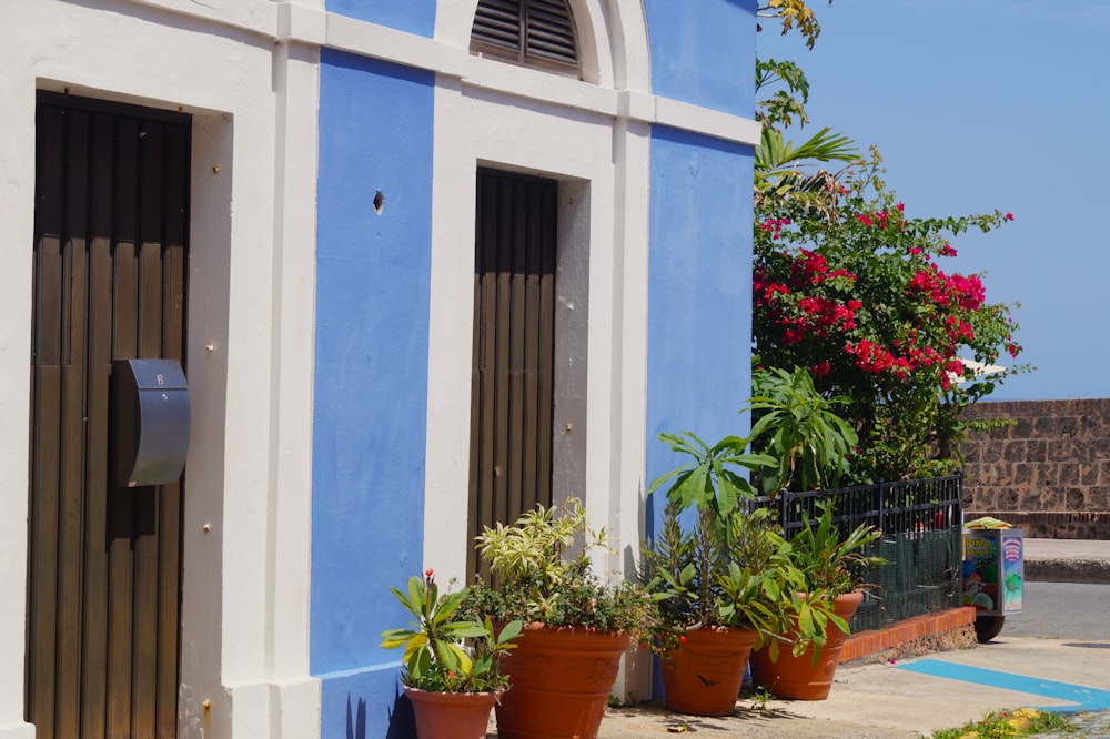 a blue and white building with potted plants in front of it