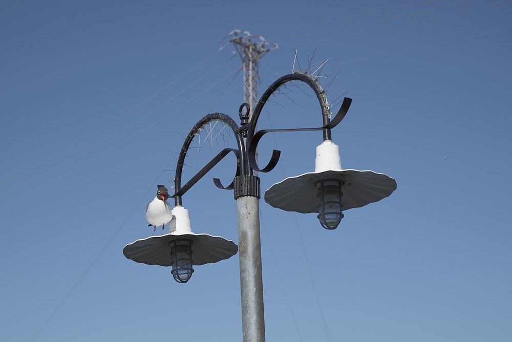 a street light with two lights attached to it