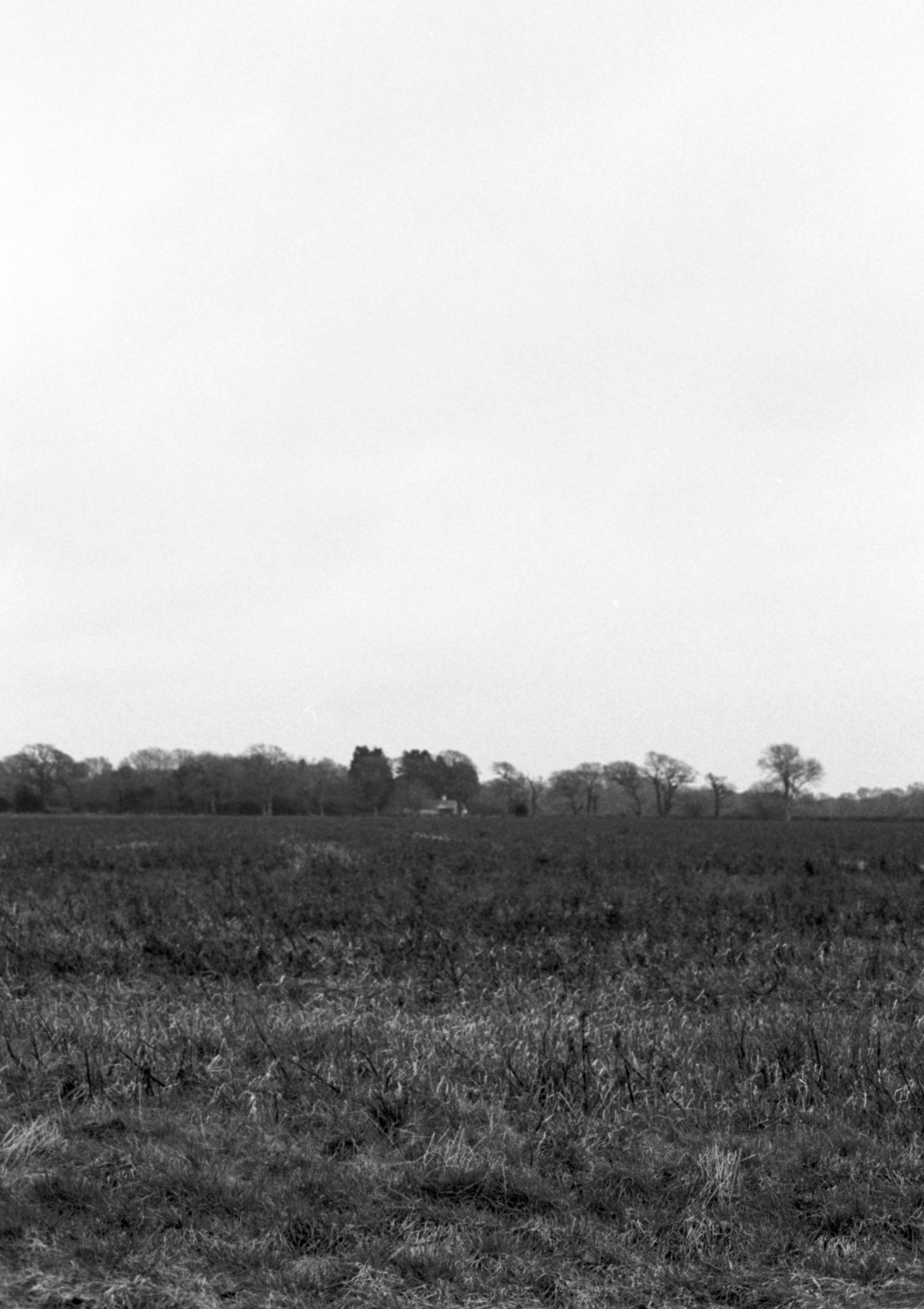 Photo by anniespratt