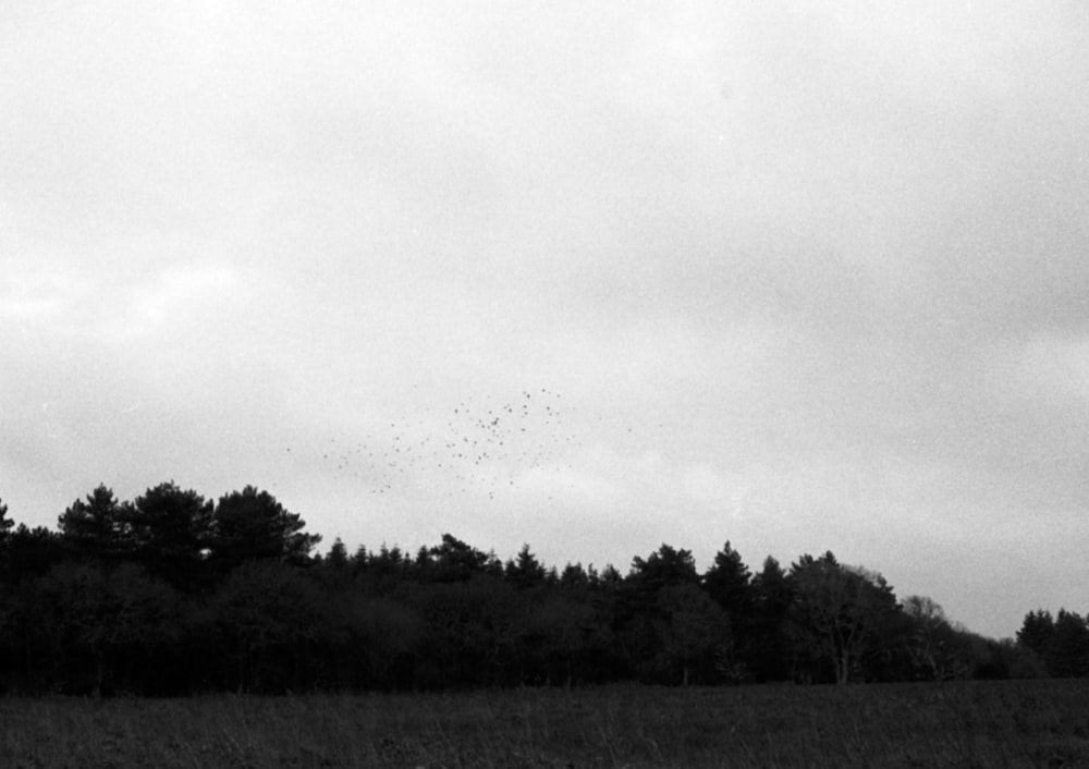 a black and white photo of a person flying a kite