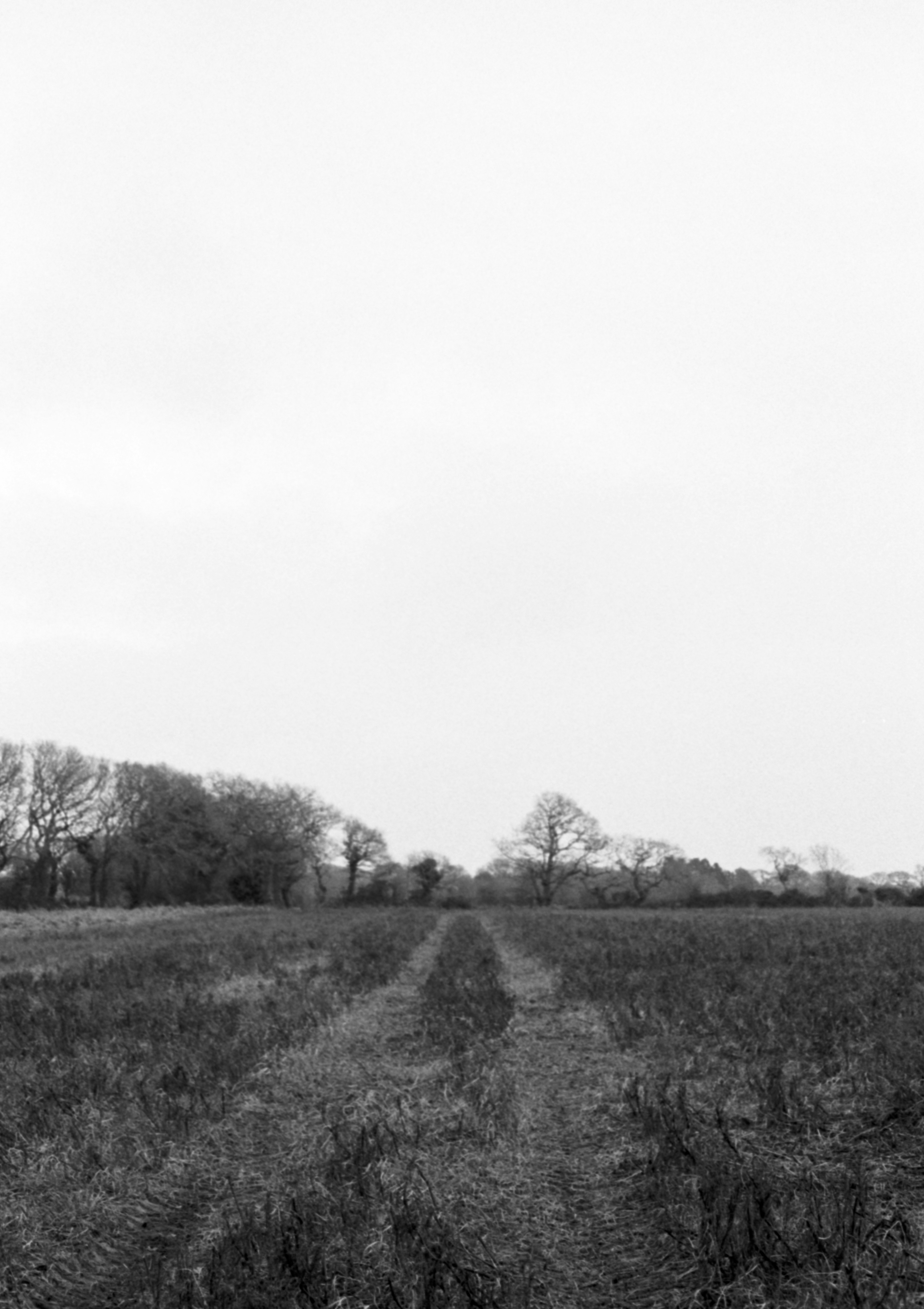 Photo by anniespratt