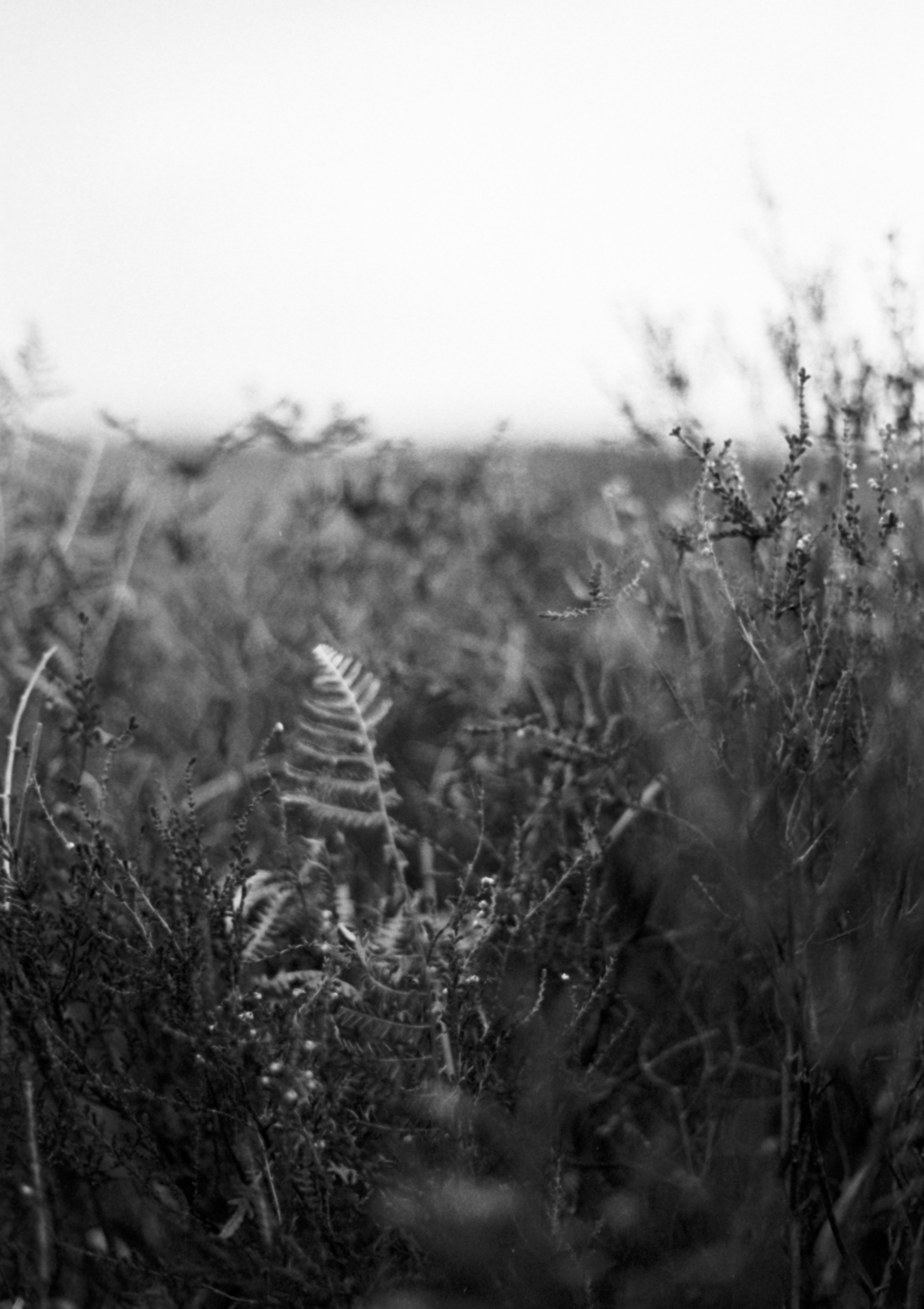 Photo by anniespratt