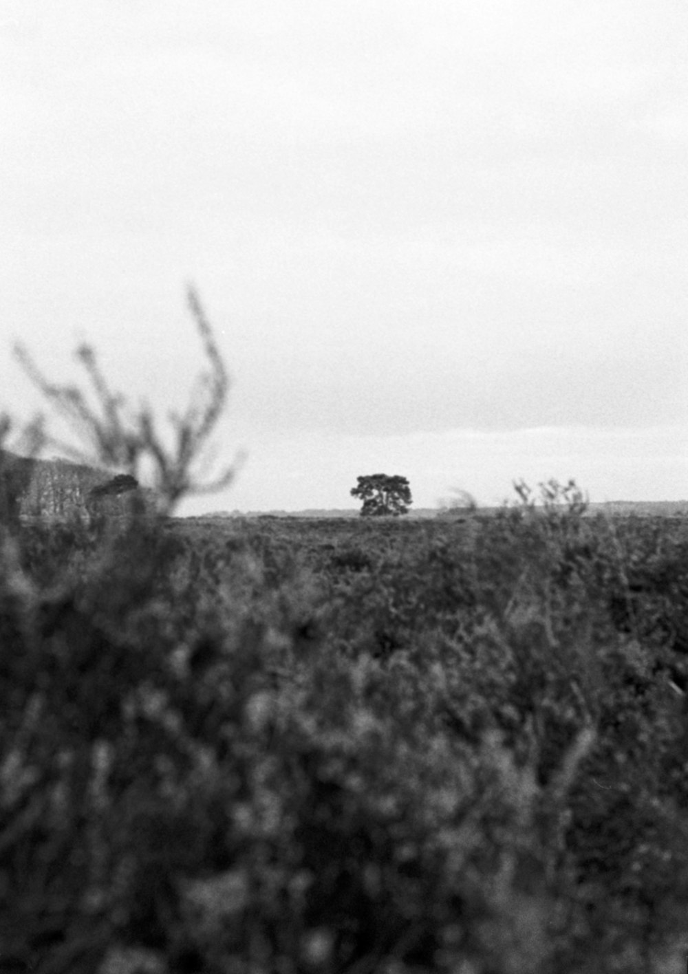 a black and white photo of a train on the tracks