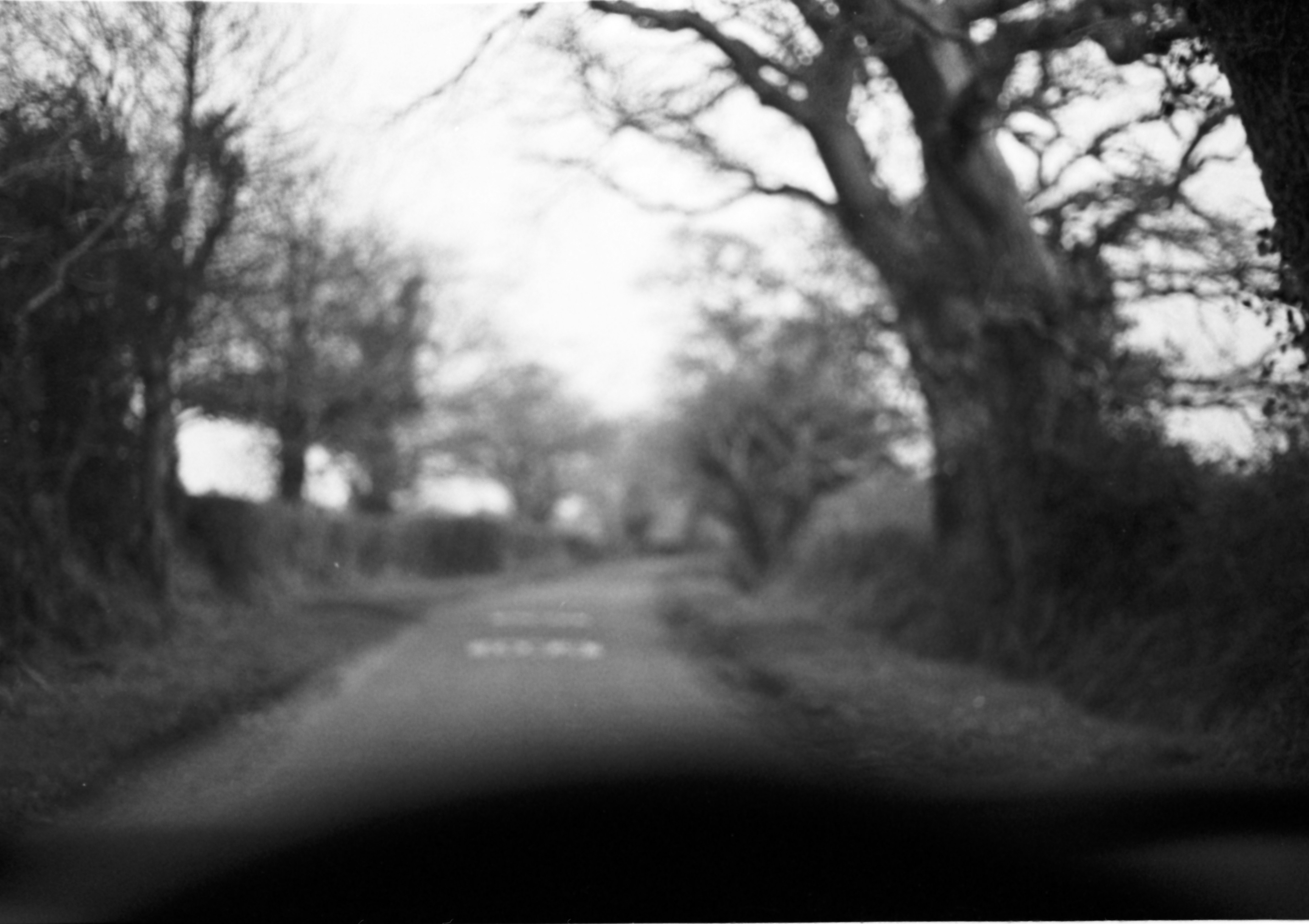 Photo by anniespratt