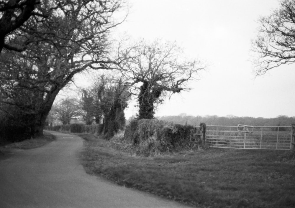 a country road with a gate and trees