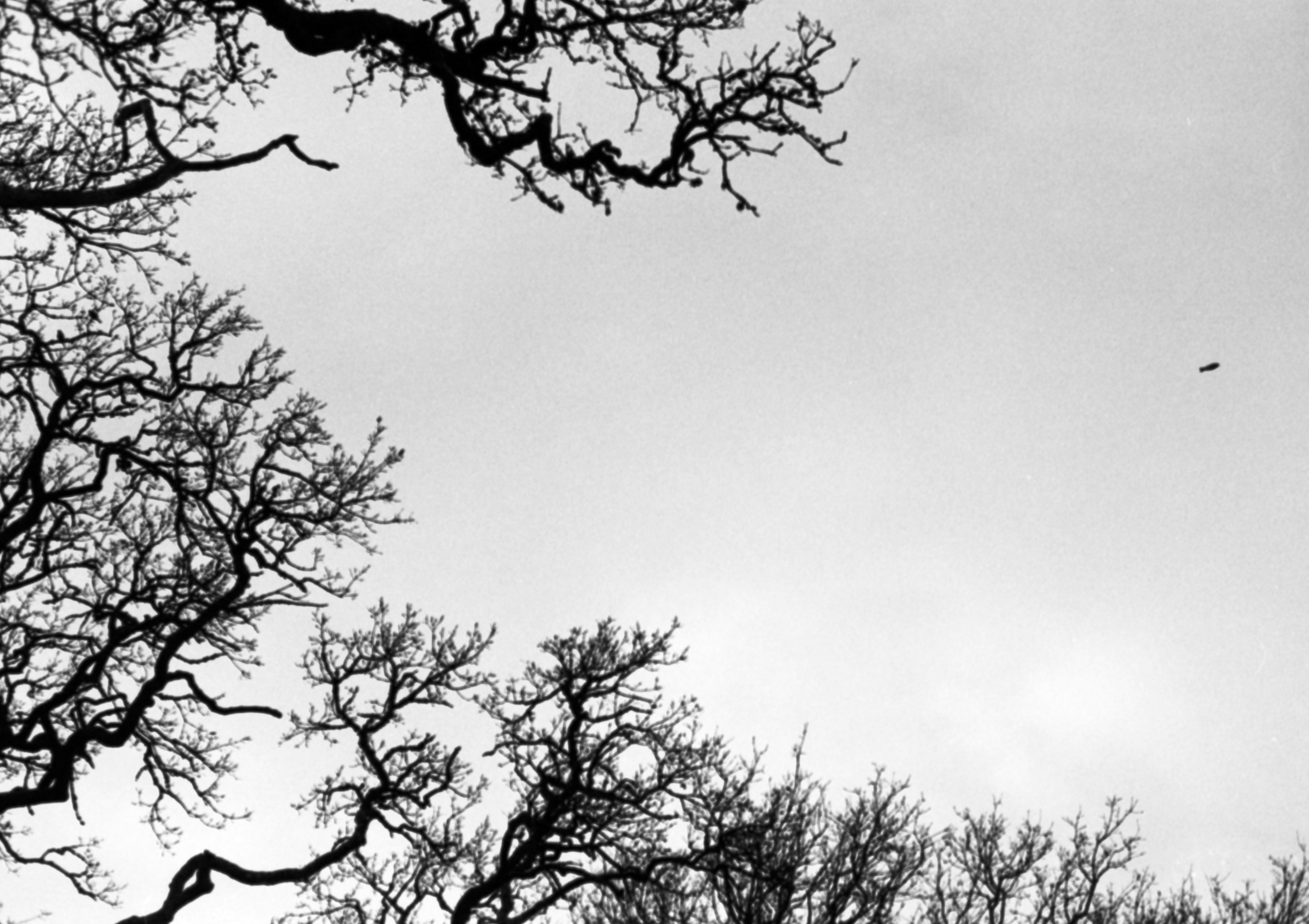 Photo by anniespratt