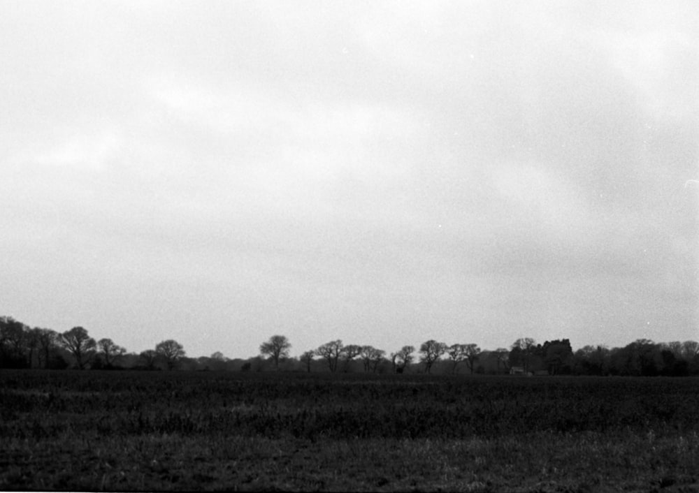 a black and white photo of a large field