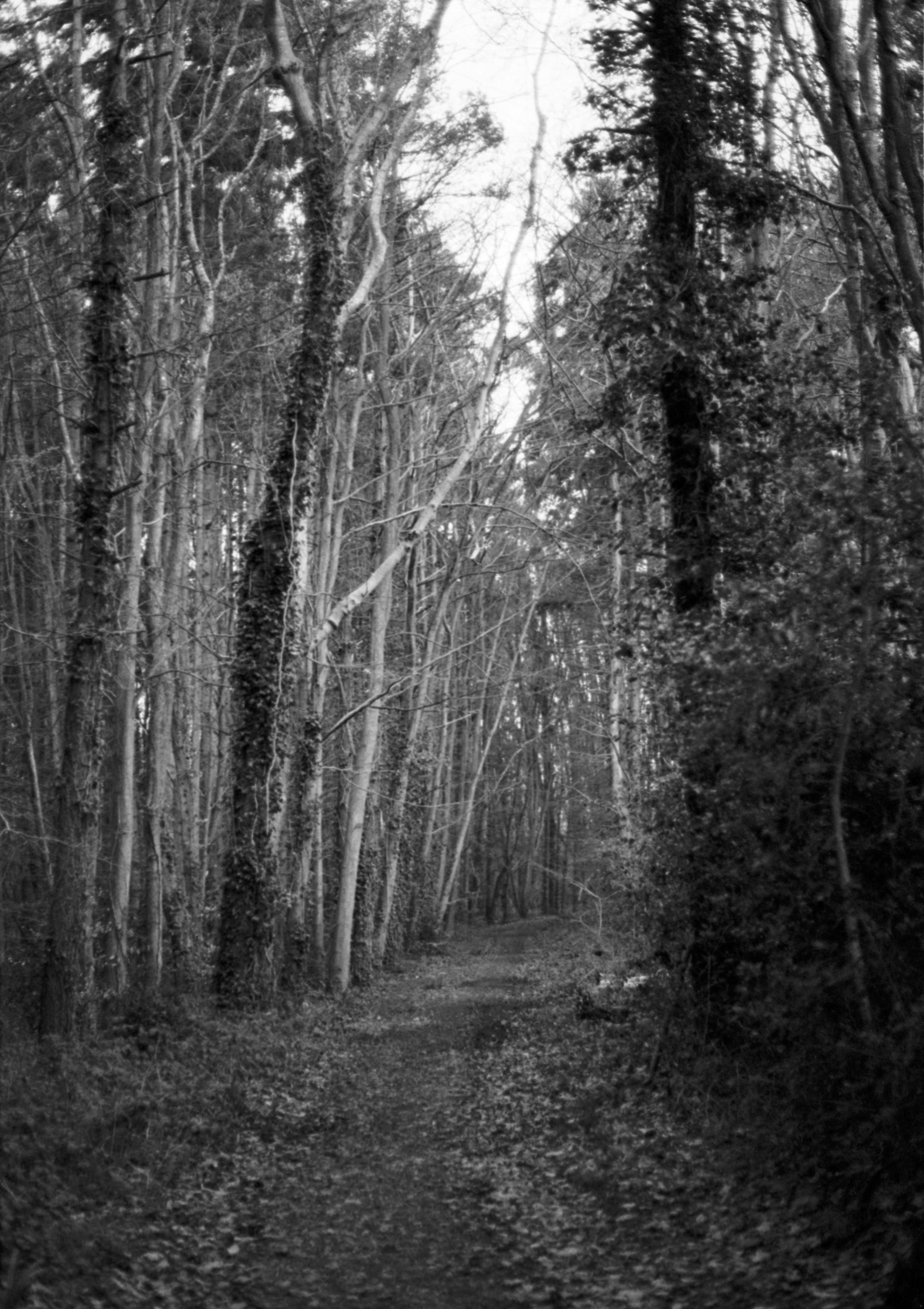 Photo by anniespratt