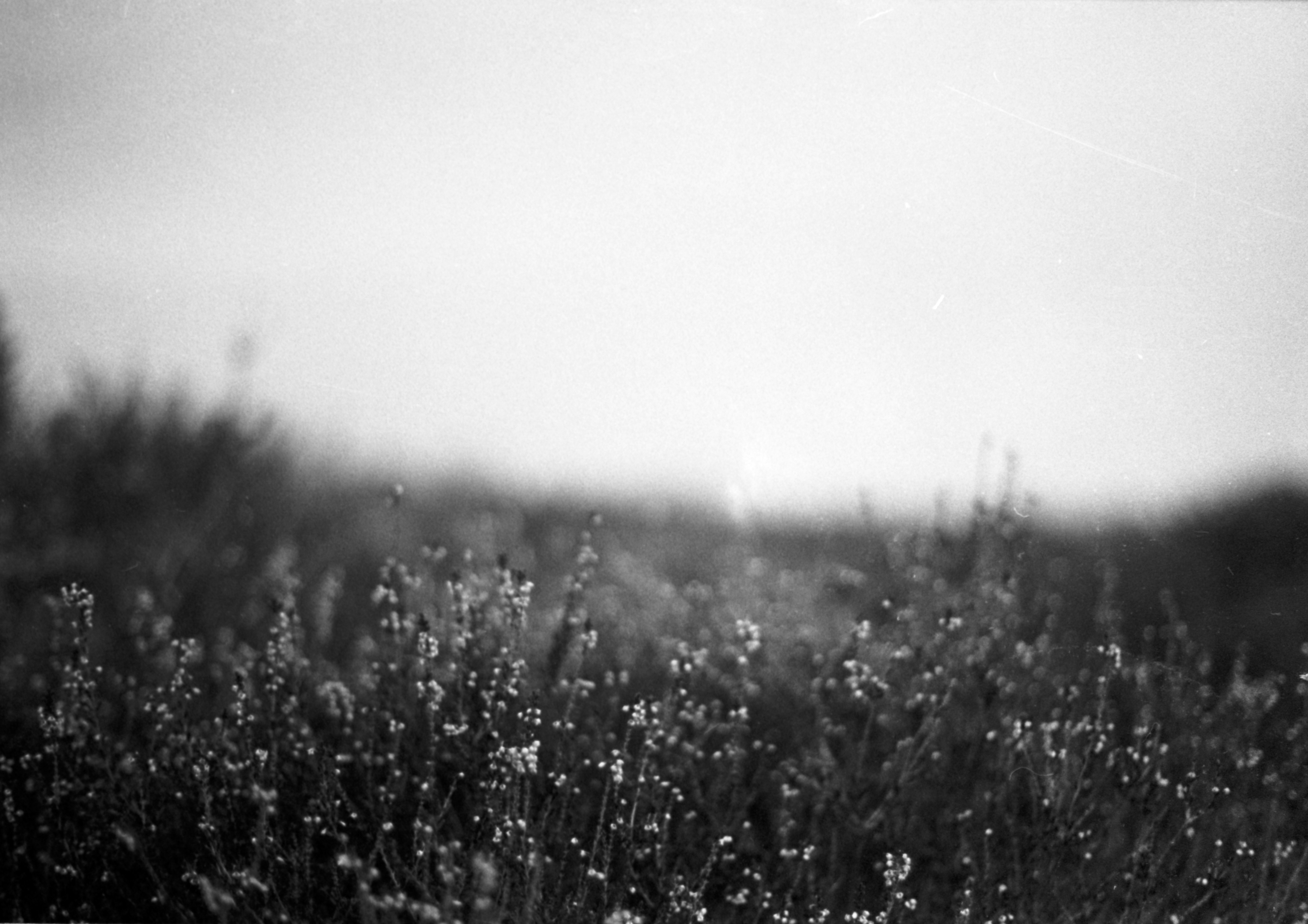 Photo by anniespratt