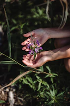 a person holding a flower in their hands