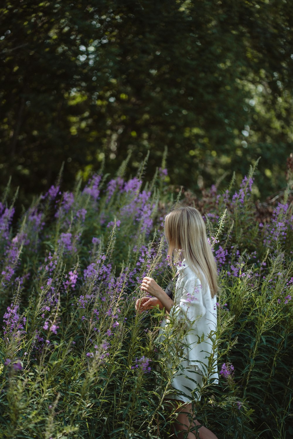 a little girl standing in a field of purple flowers