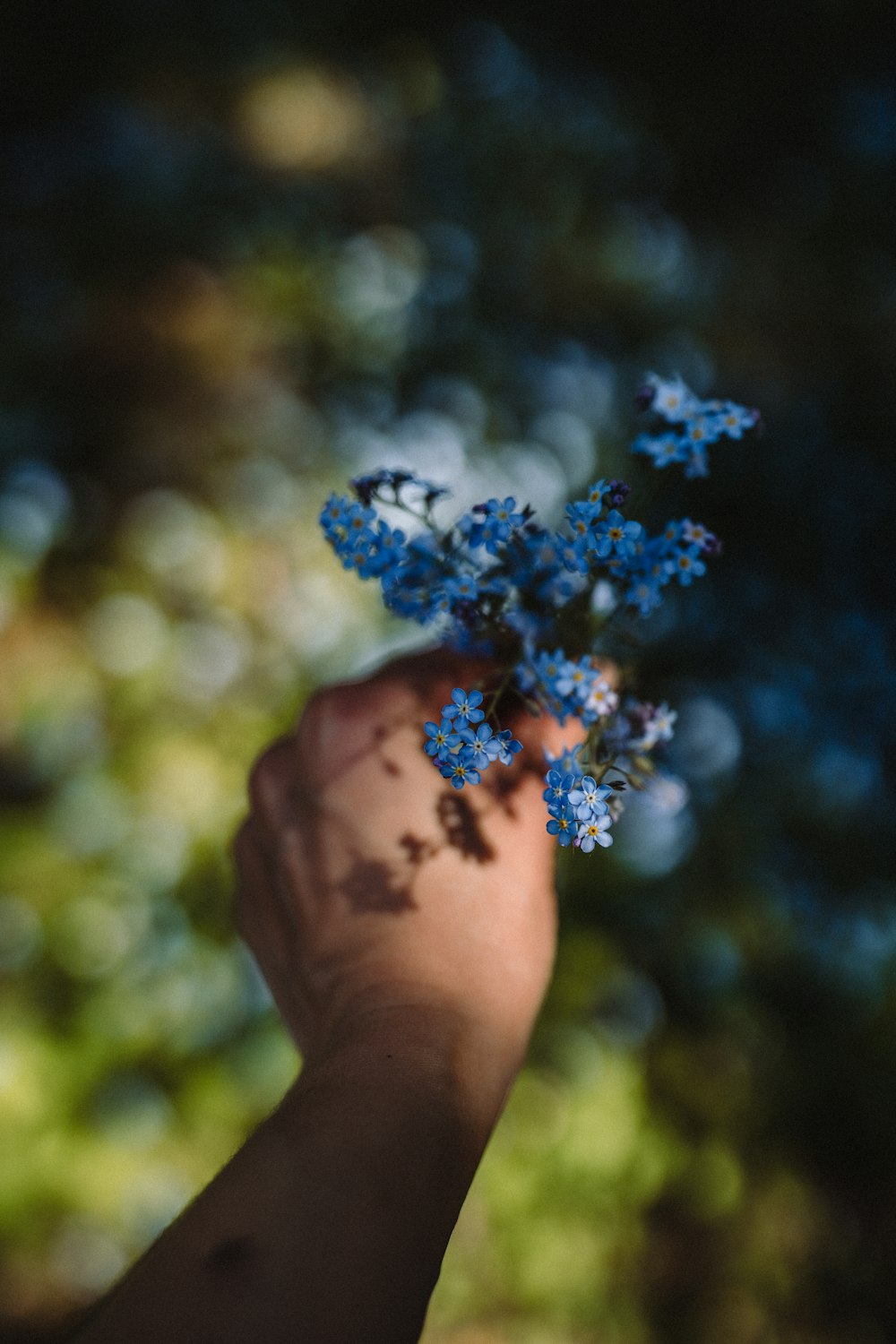 a person's hand holding a bunch of blue flowers