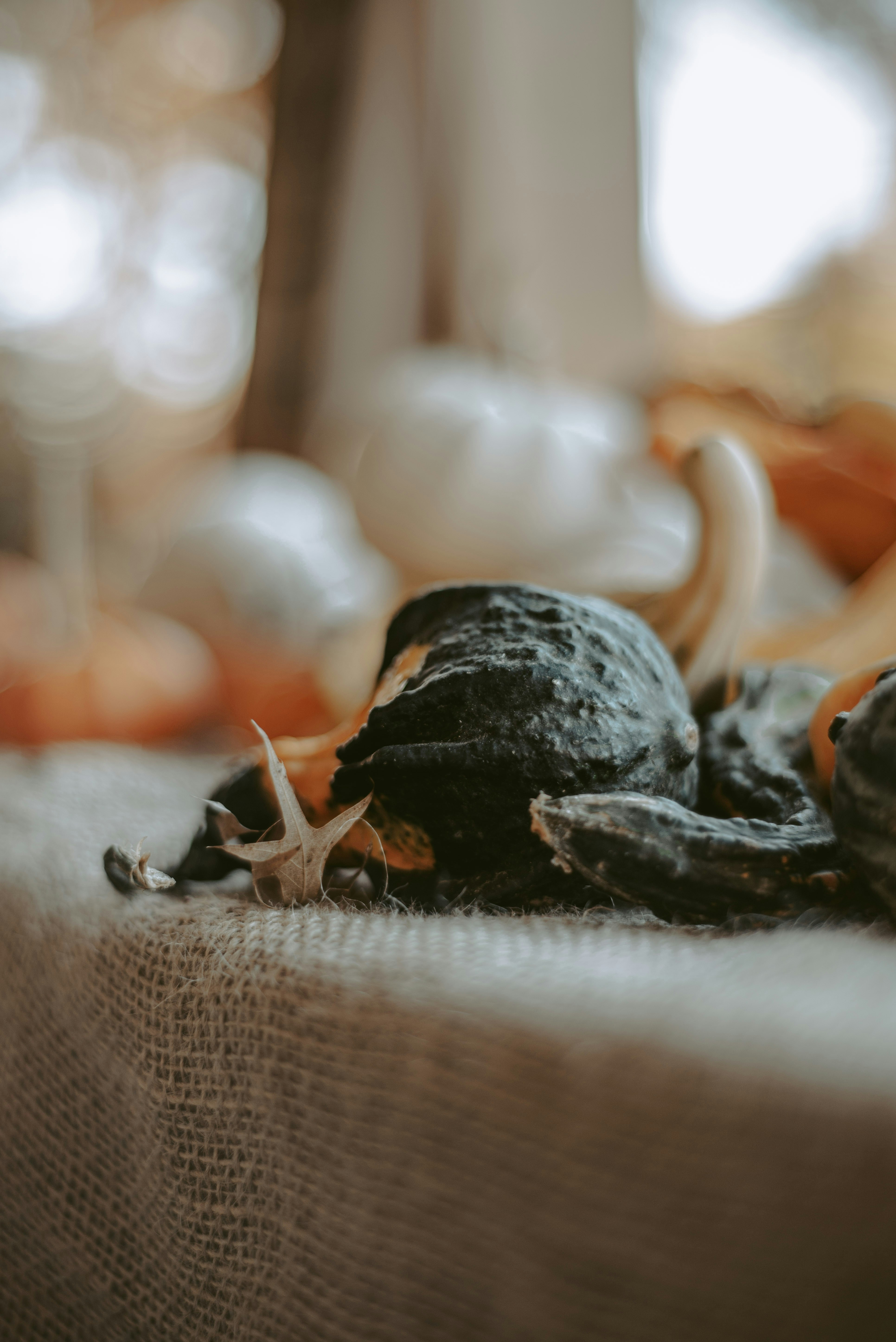 a stuffed animal laying on a bed next to a window