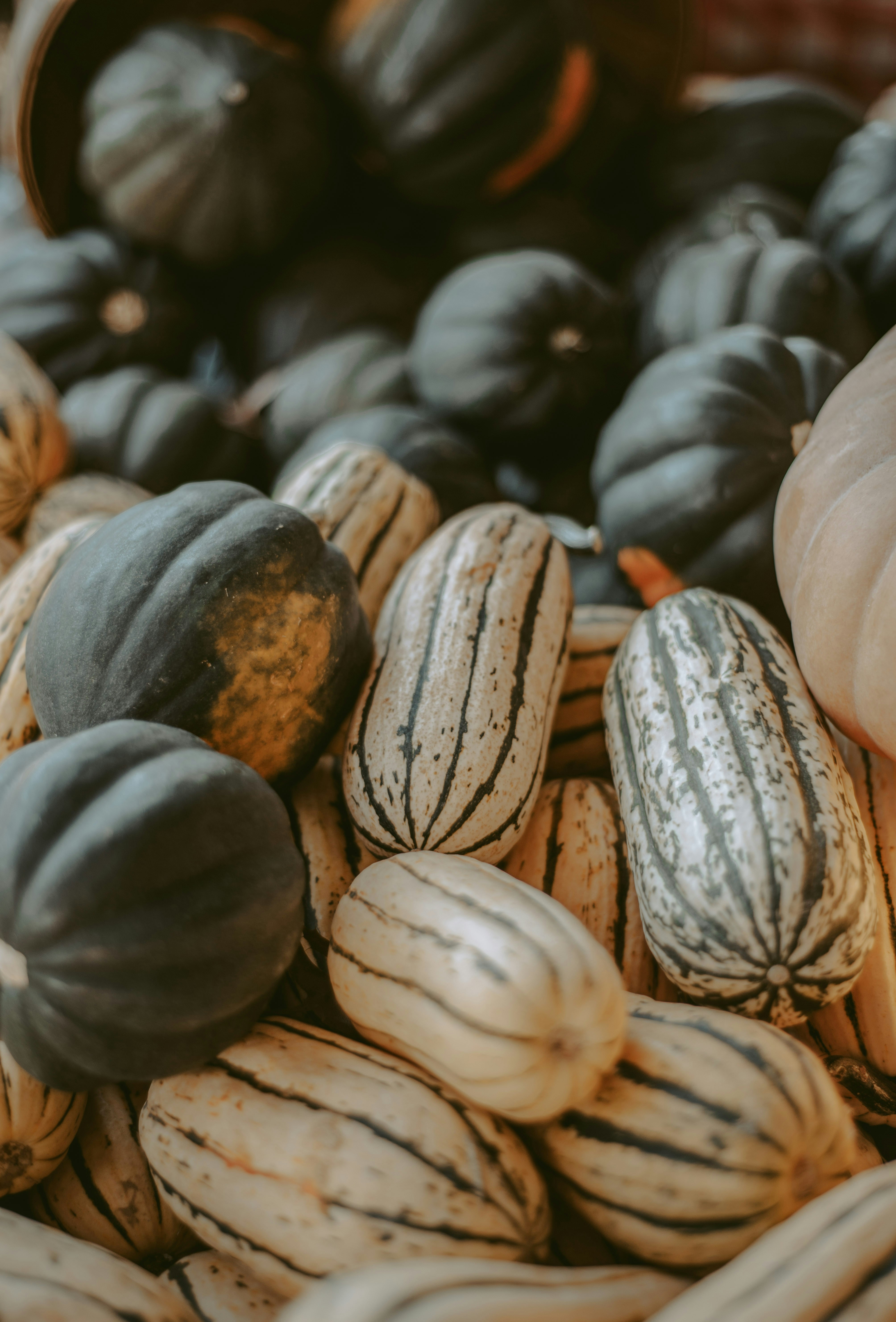 Photo by sadieicoulter