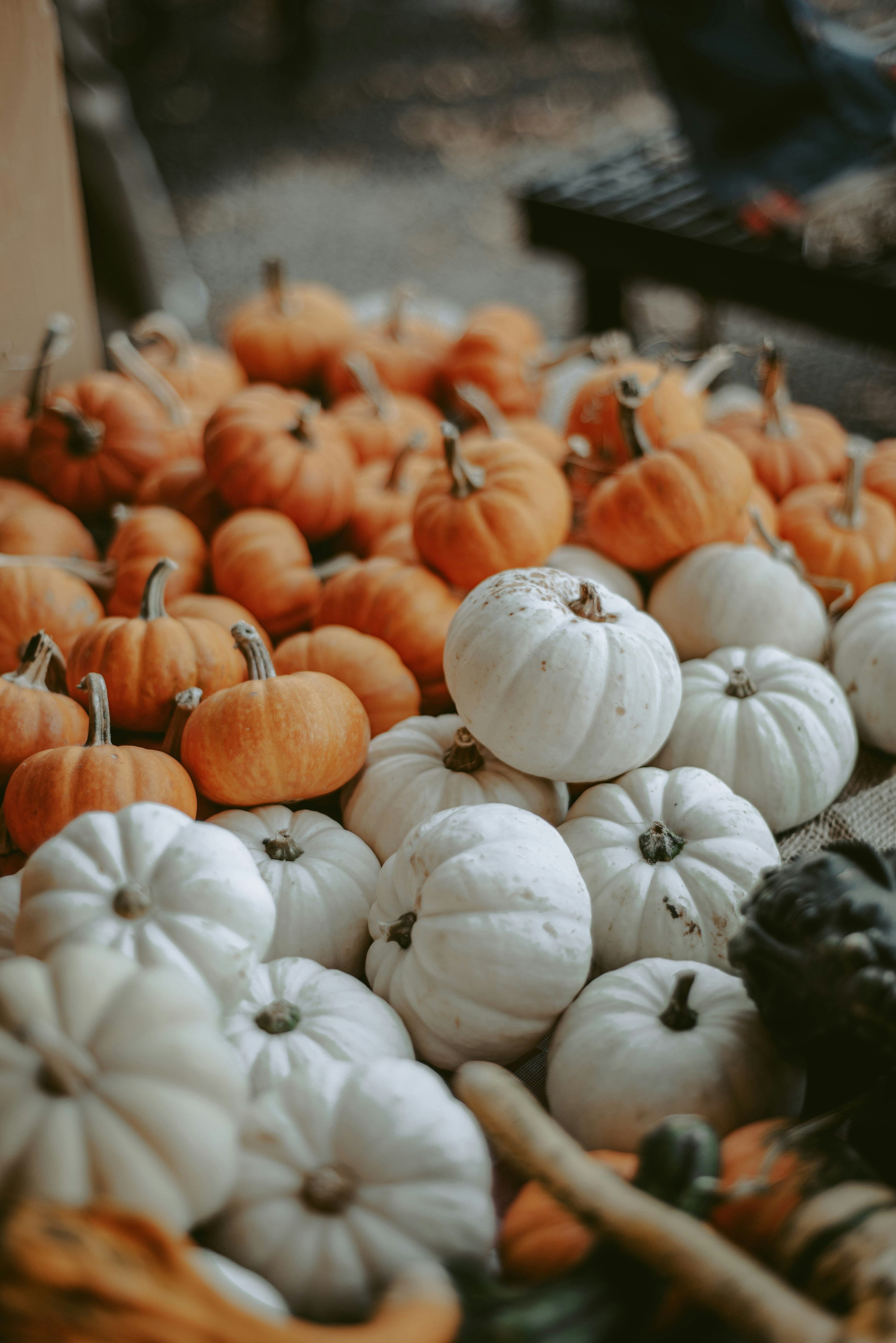 Photo by sadieicoulter