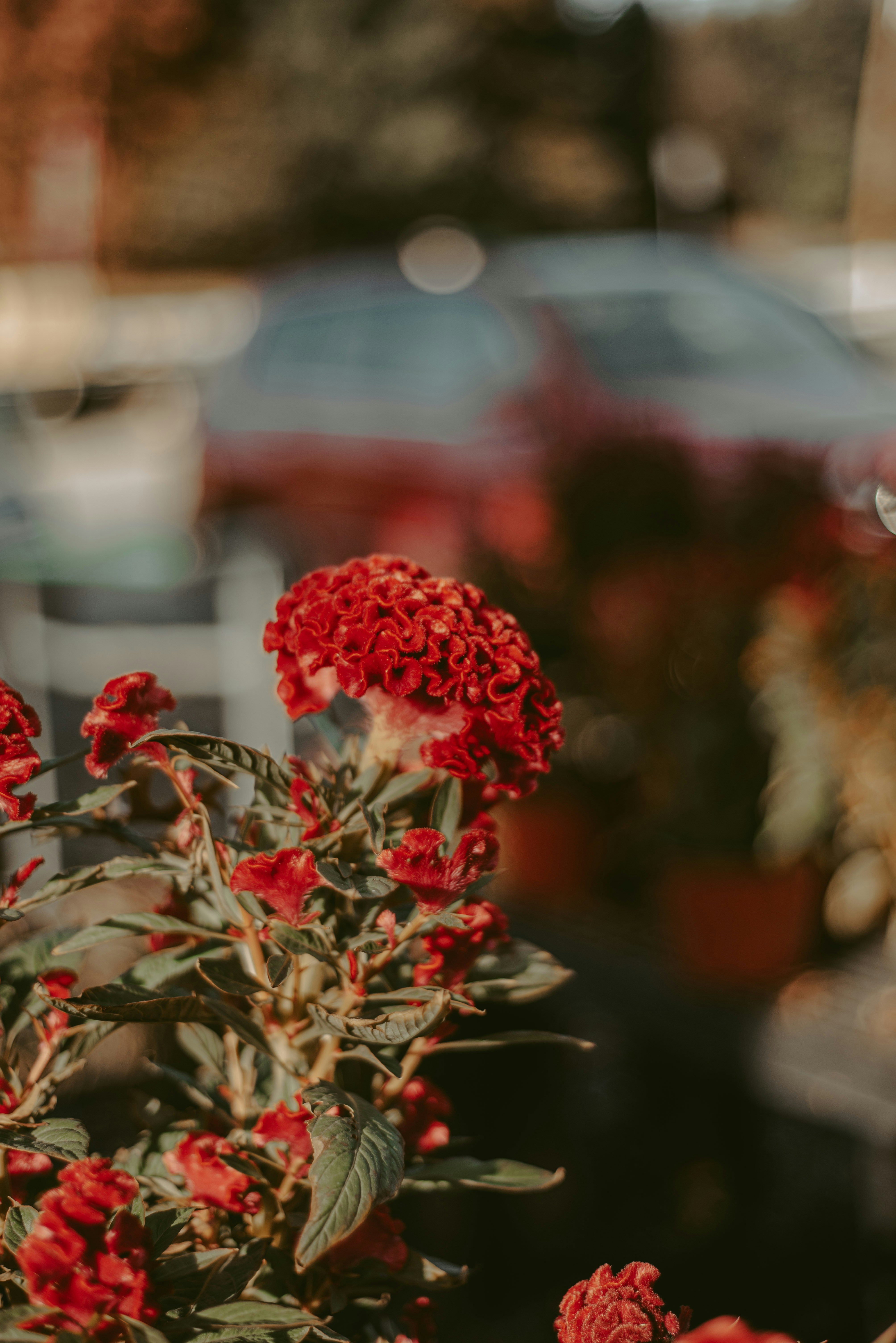 Photo by sadieicoulter